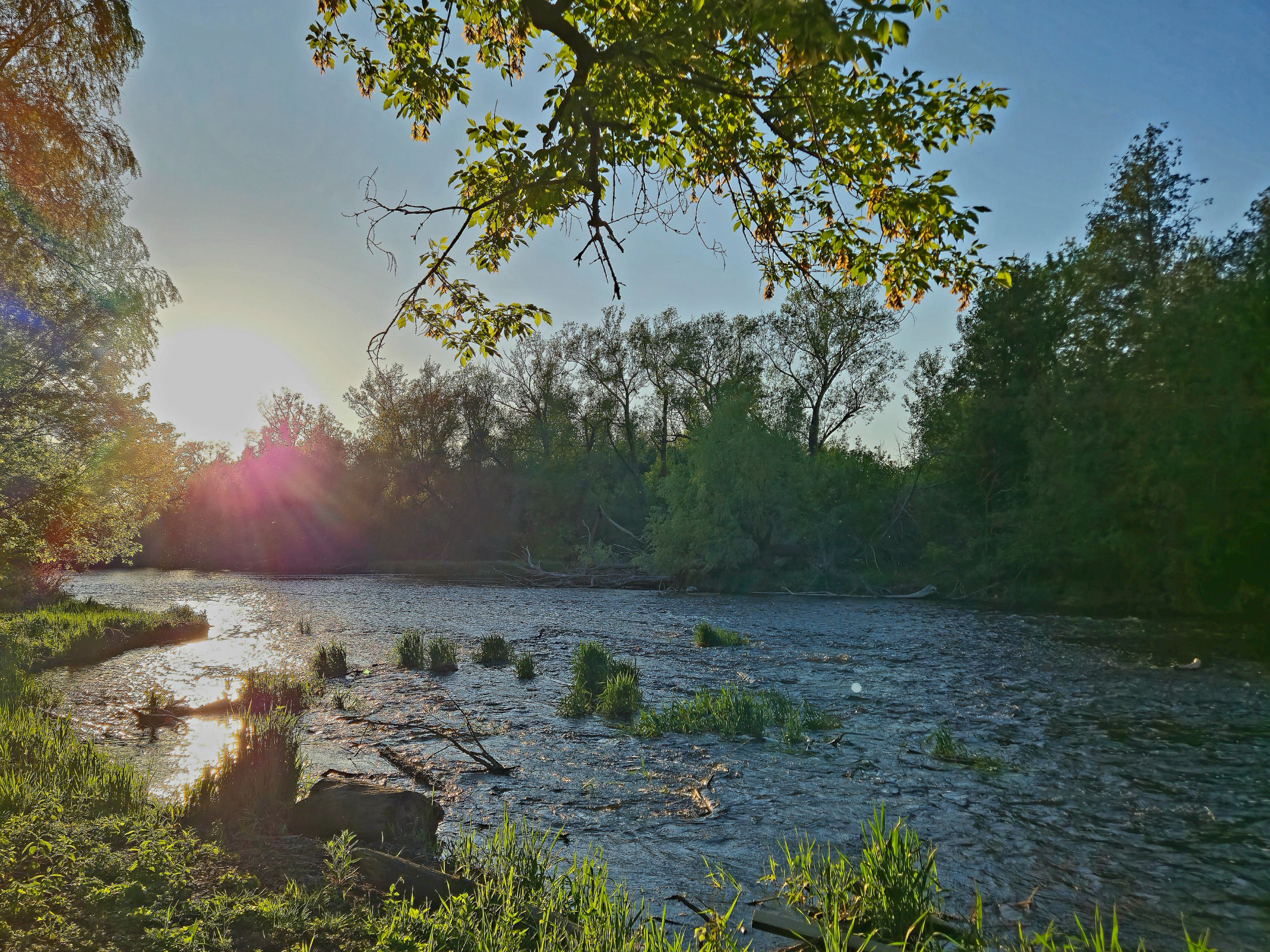 20250516_194837.jpg