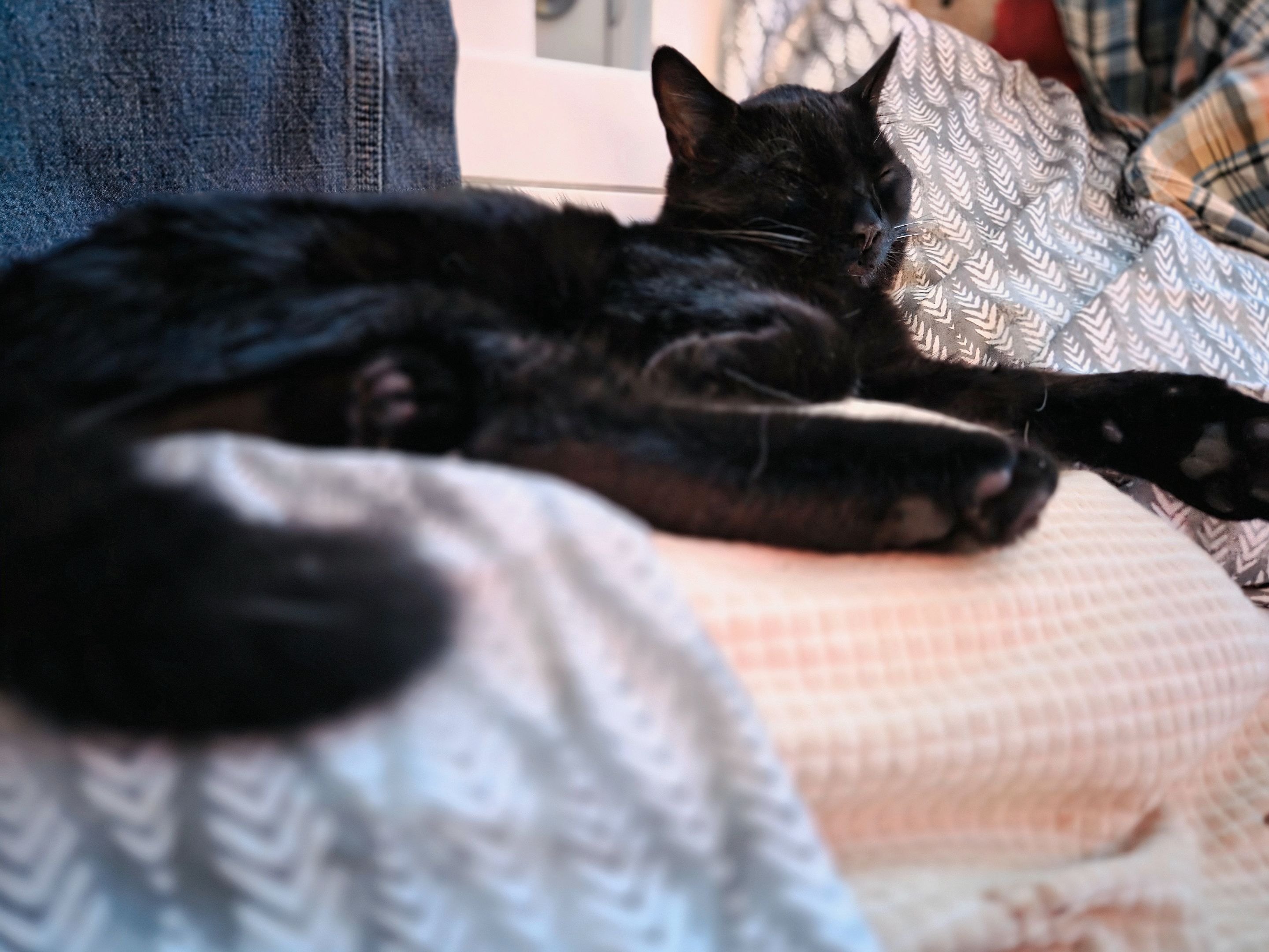 20250927_004827.jpg