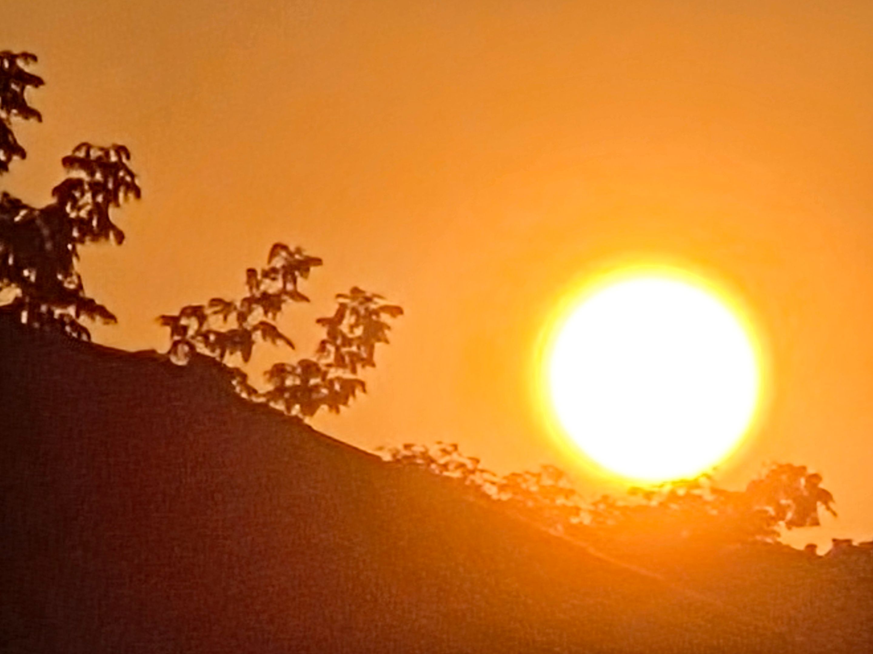 20250913_191137.jpg
