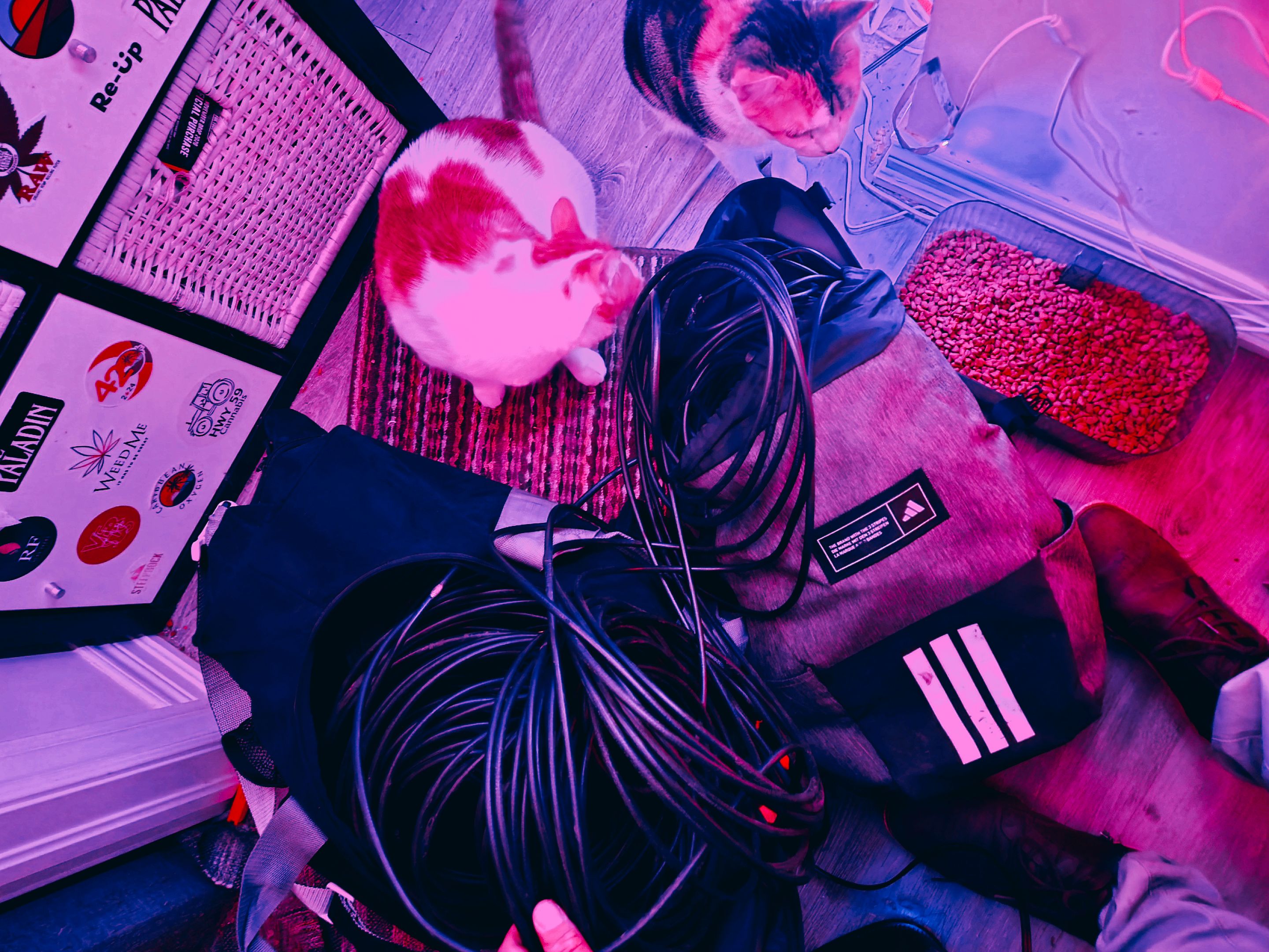 20250521_011158.jpg