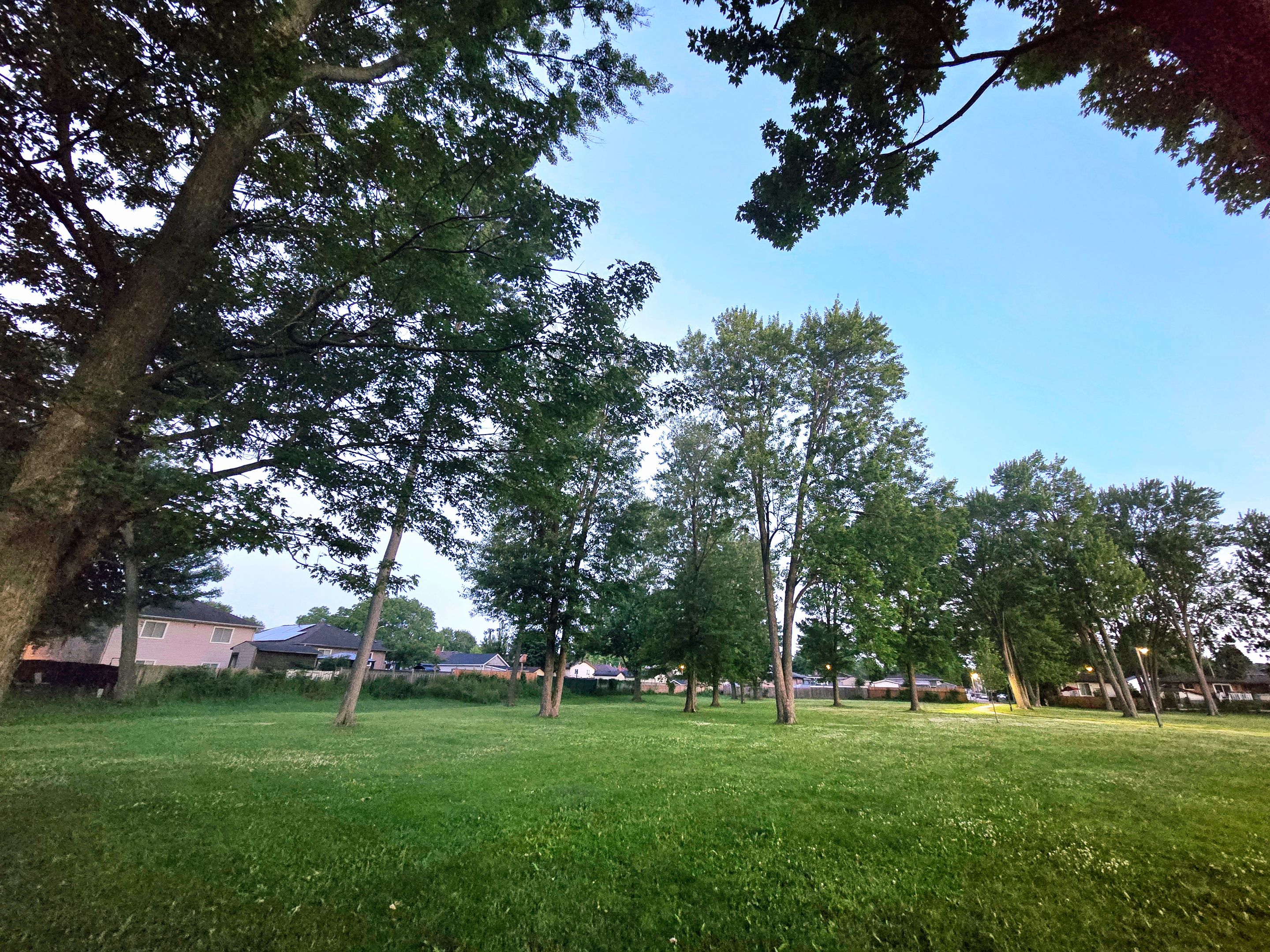 20250623_052704.jpg