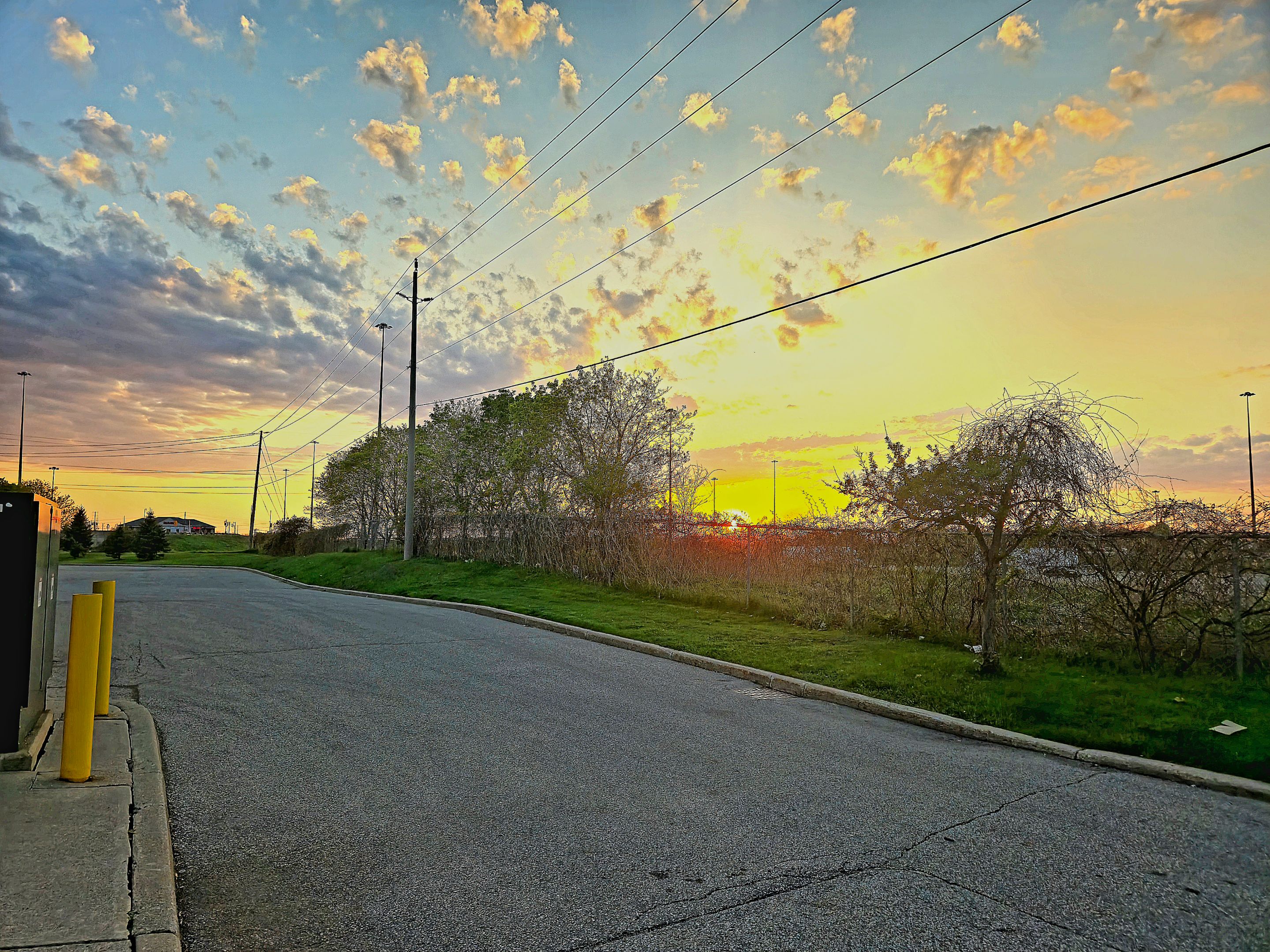 20250510_202025.jpg