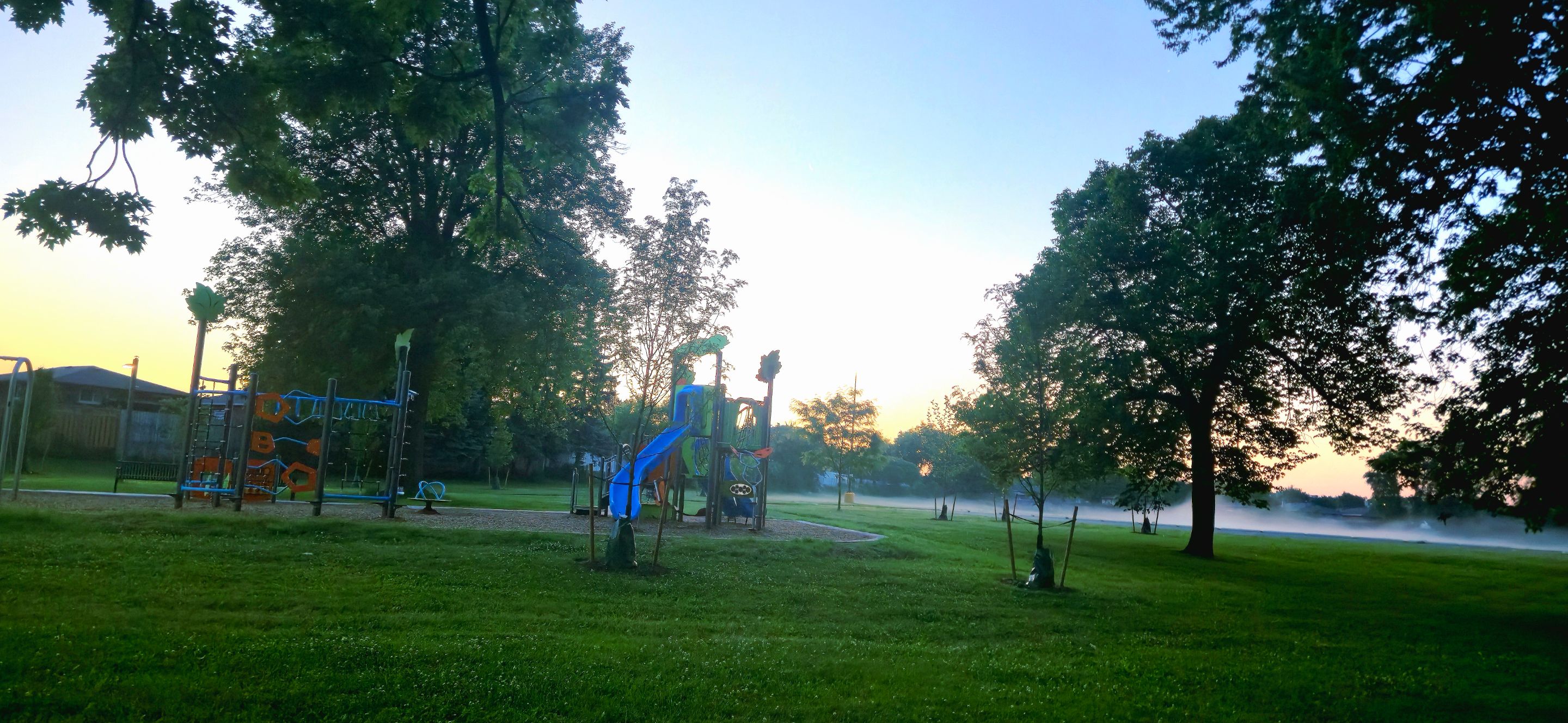 20250623_052755.jpg