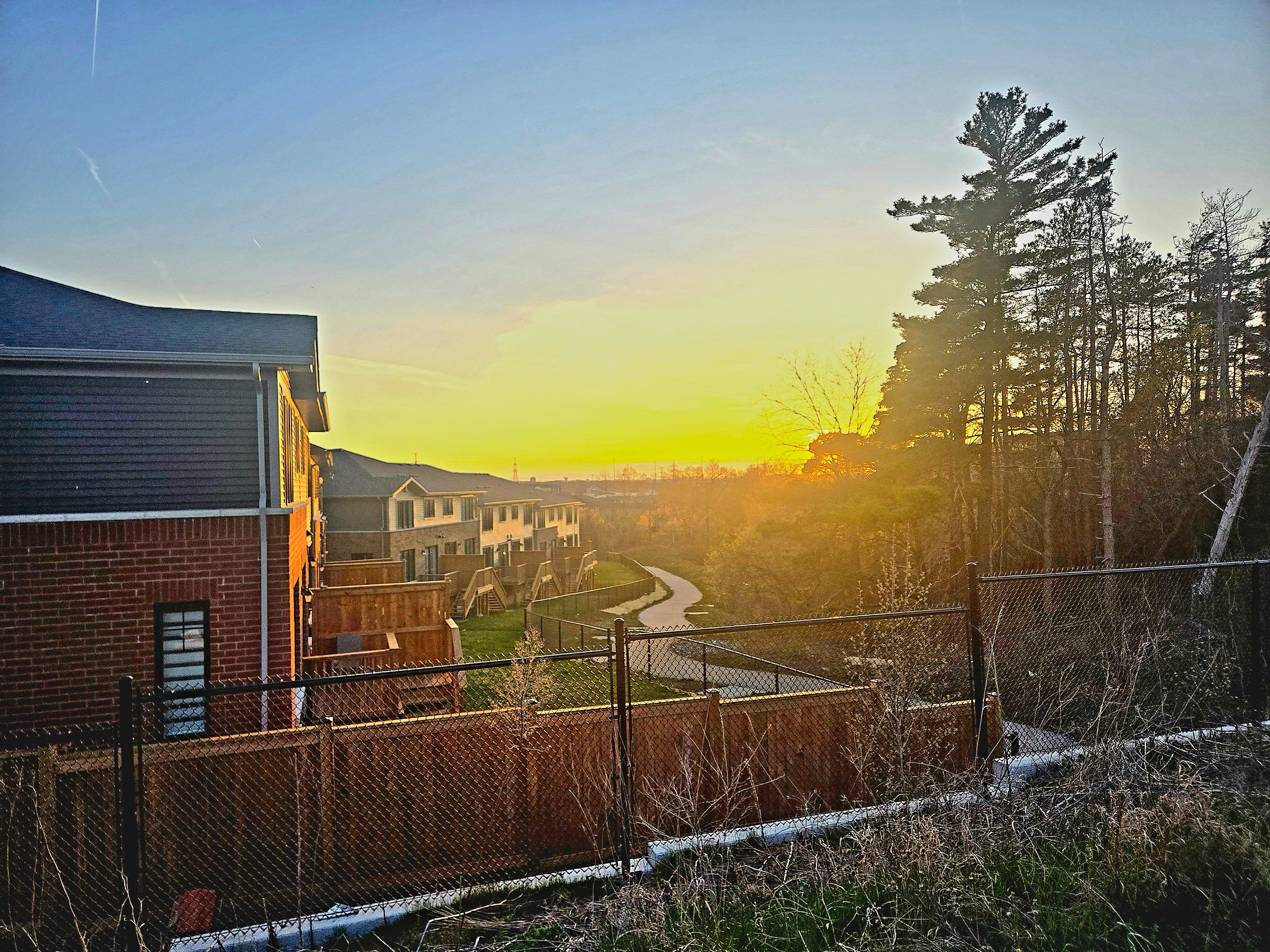 20250427_200333.jpg