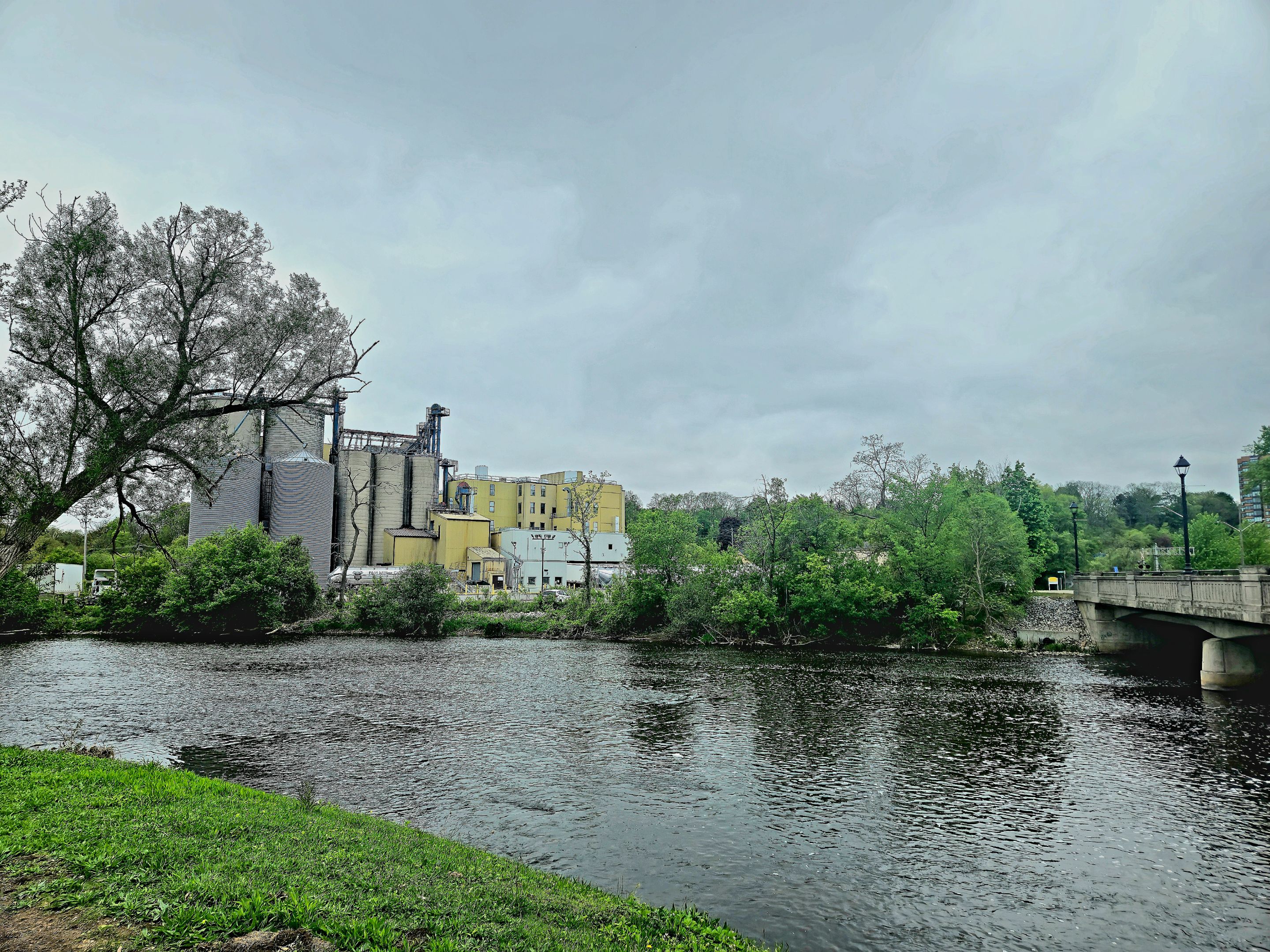 20250518_122955.jpg