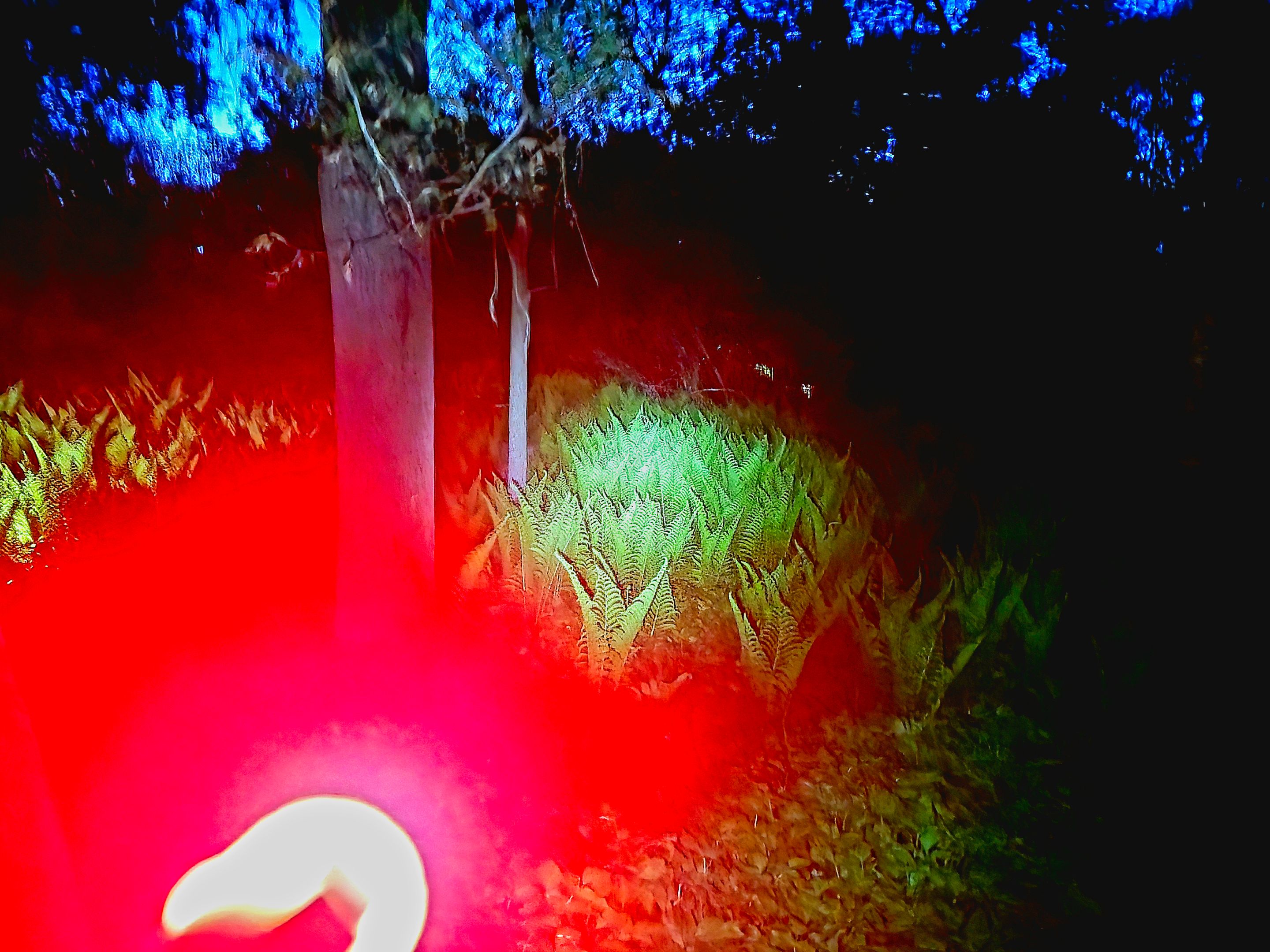 20250519_214423.jpg