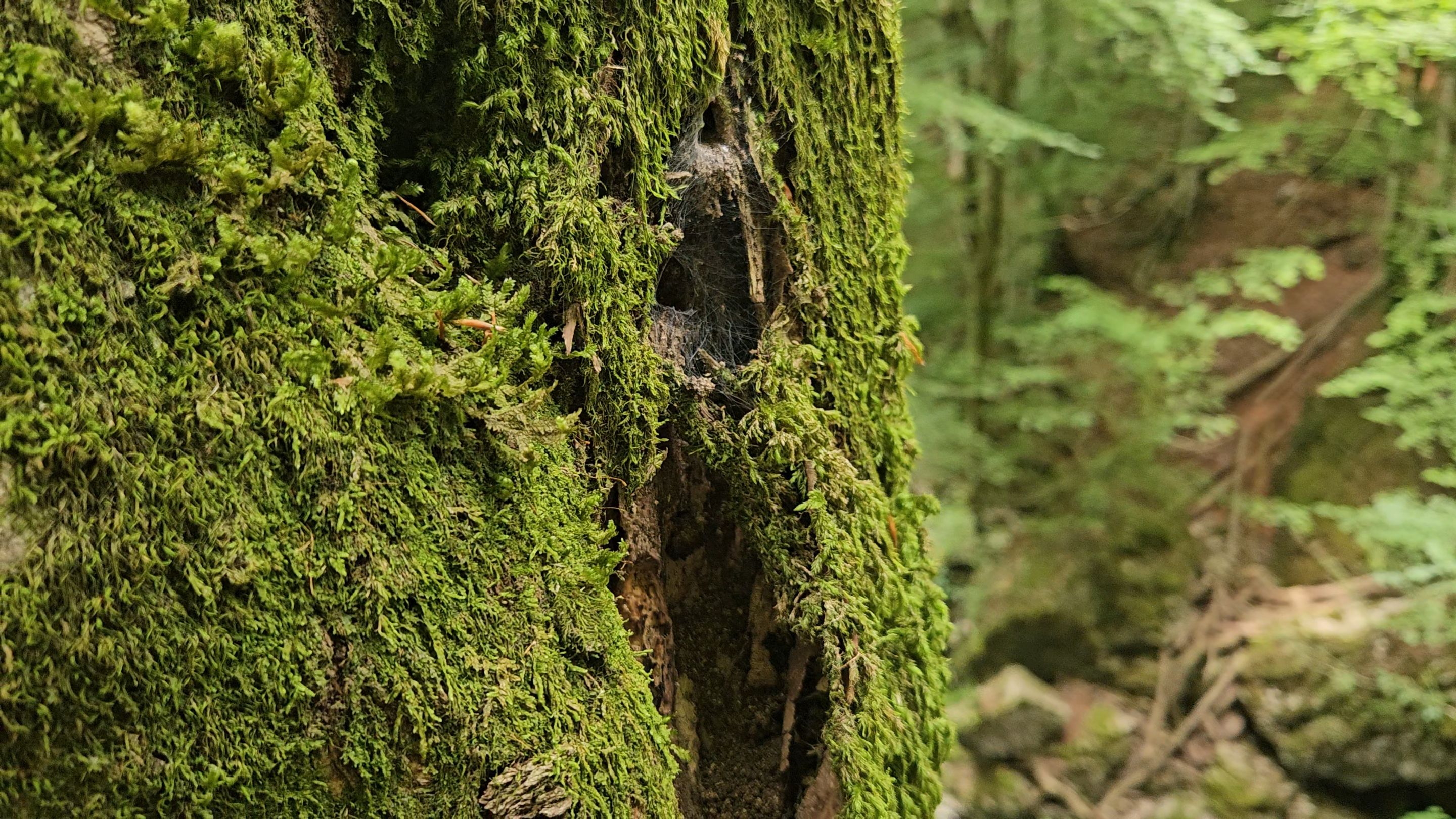 20250629_135742.jpg