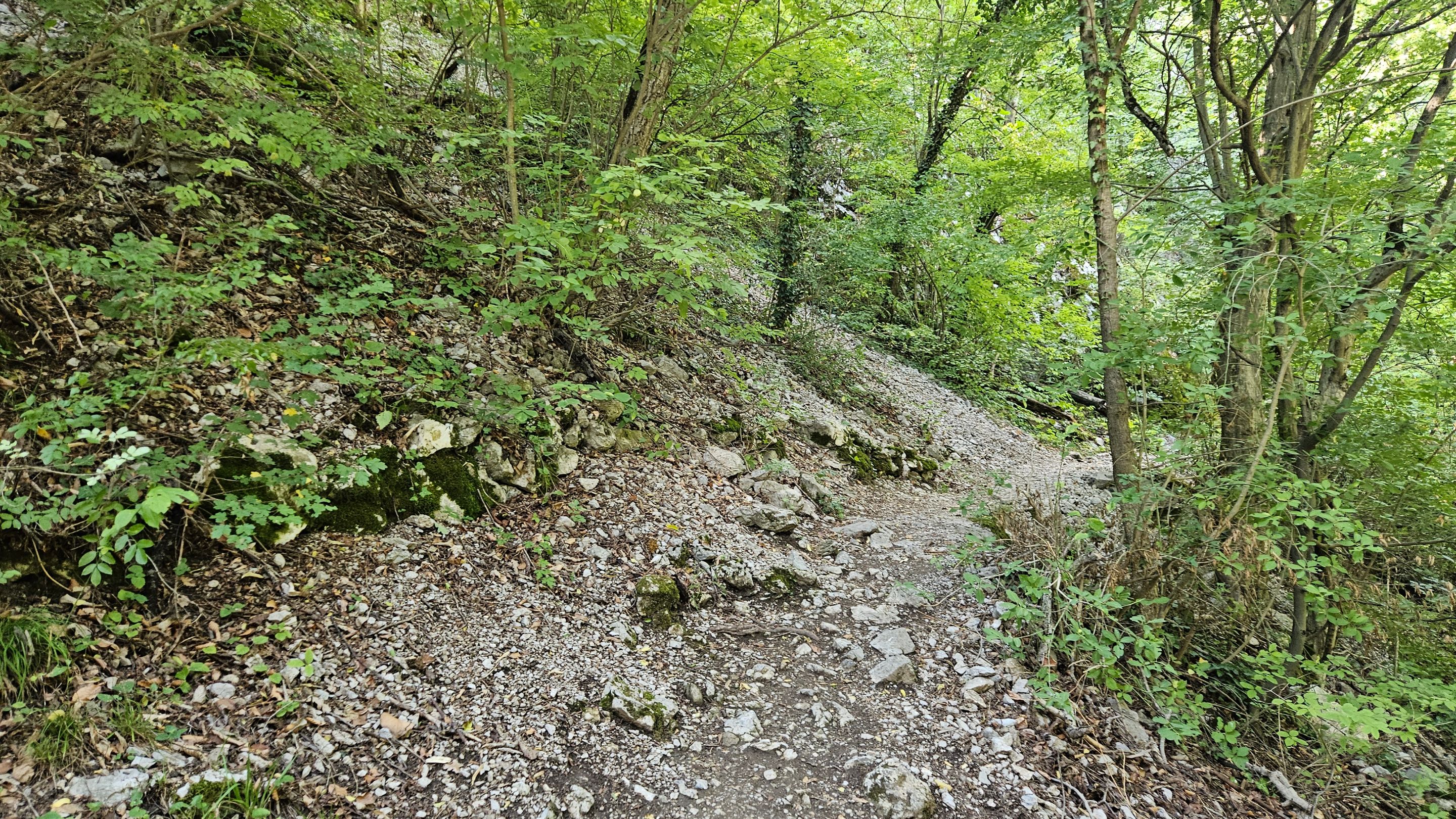 20250730_171236.jpg