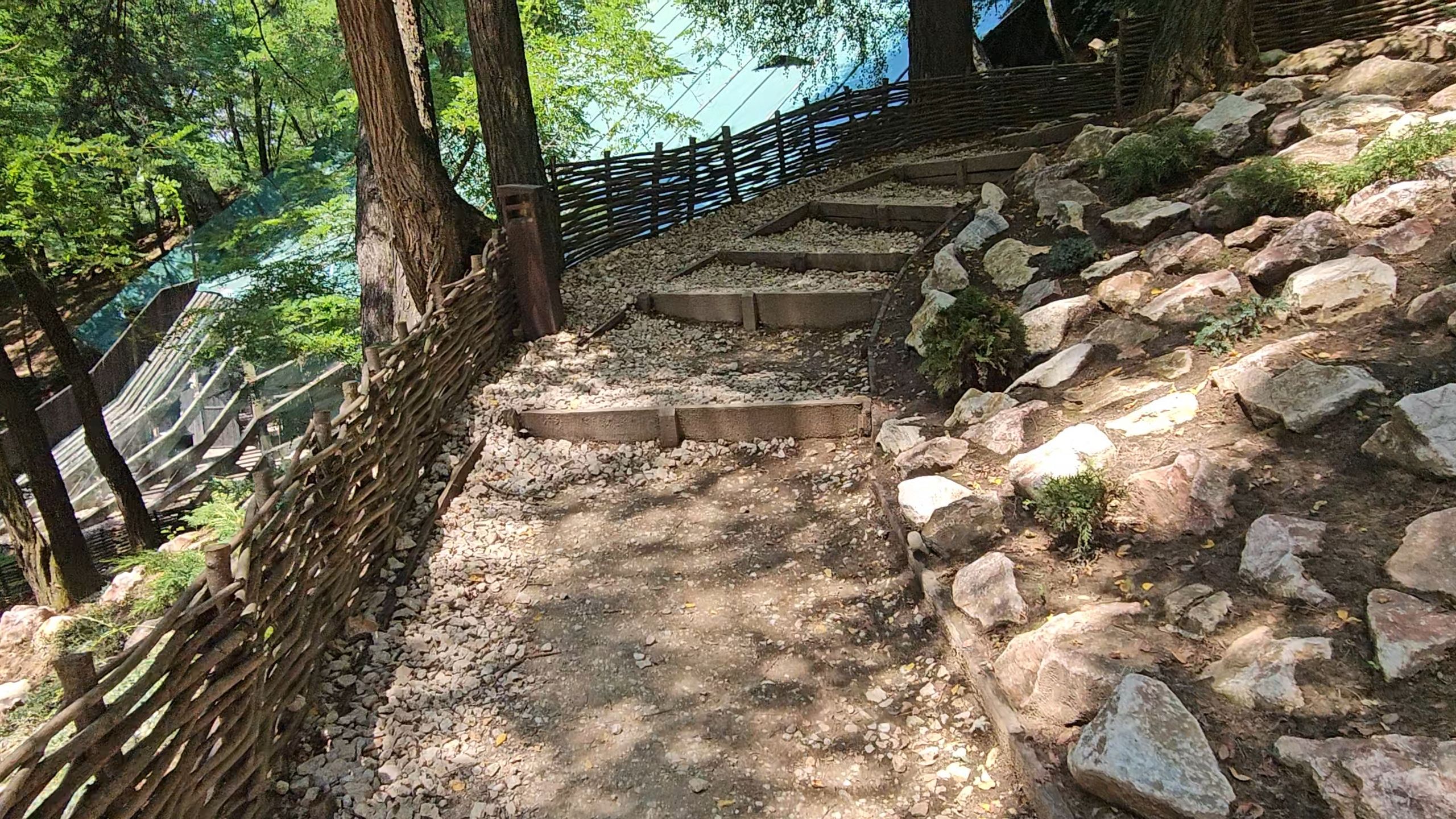 20250721_133432.jpg