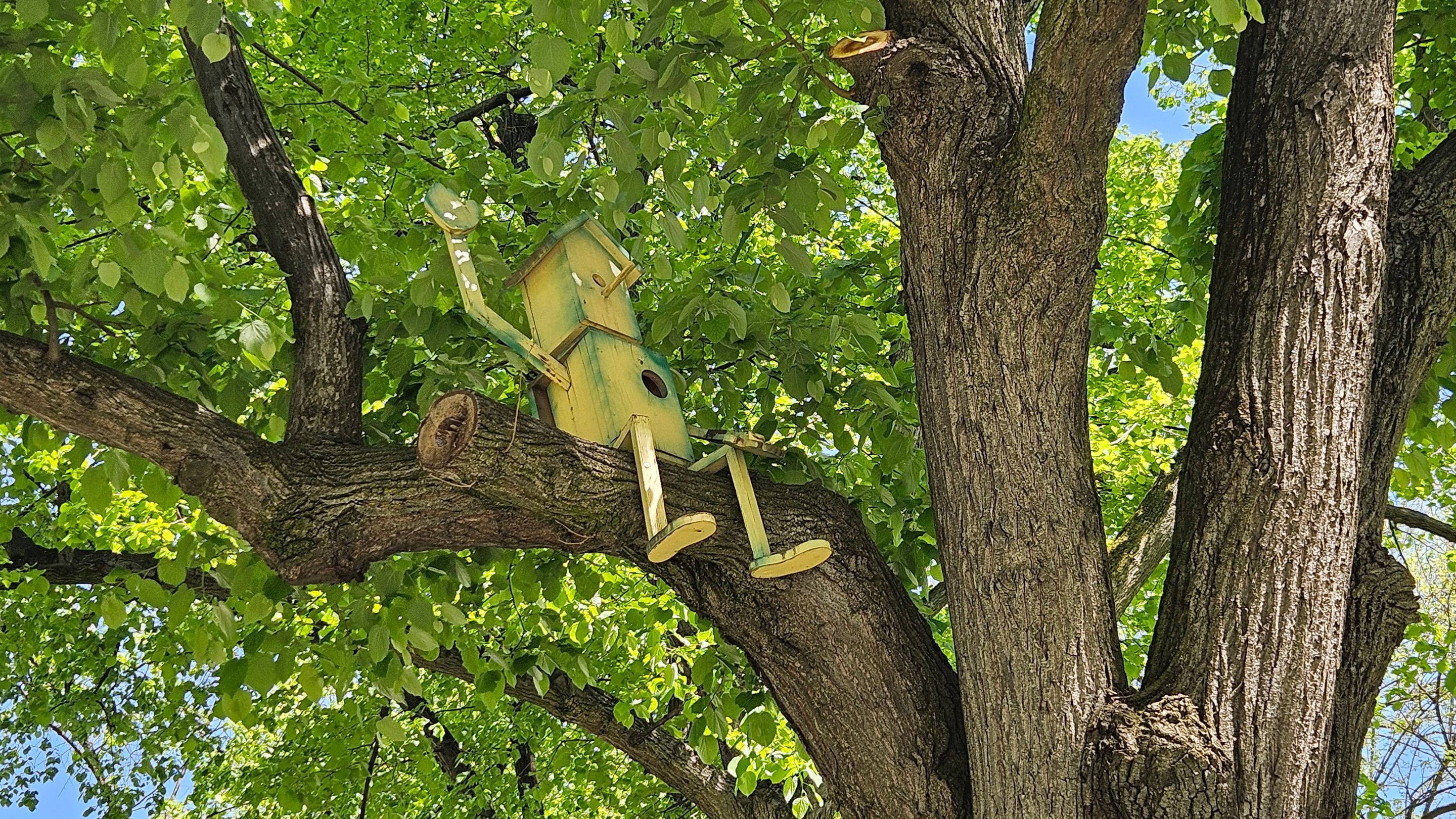 20250424_140307.jpg