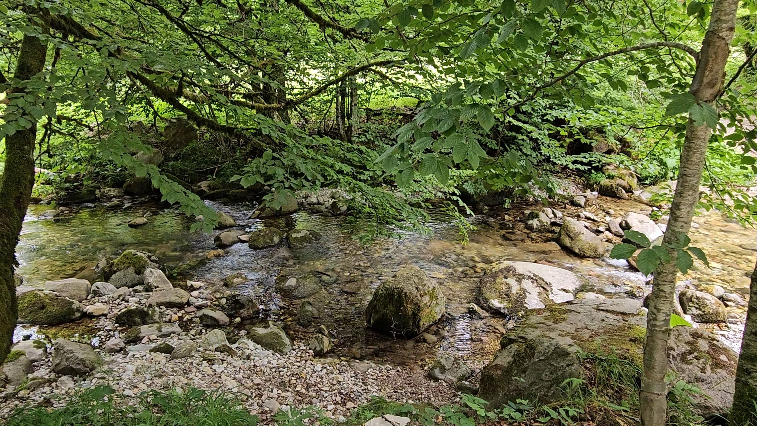 20250629_134109.jpg