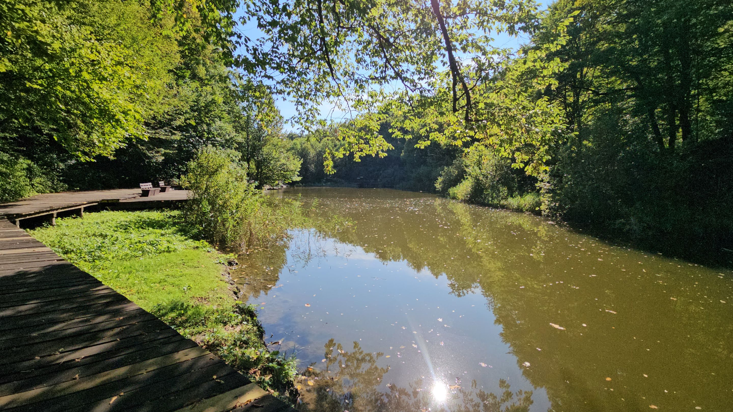 20250914_154158.jpg