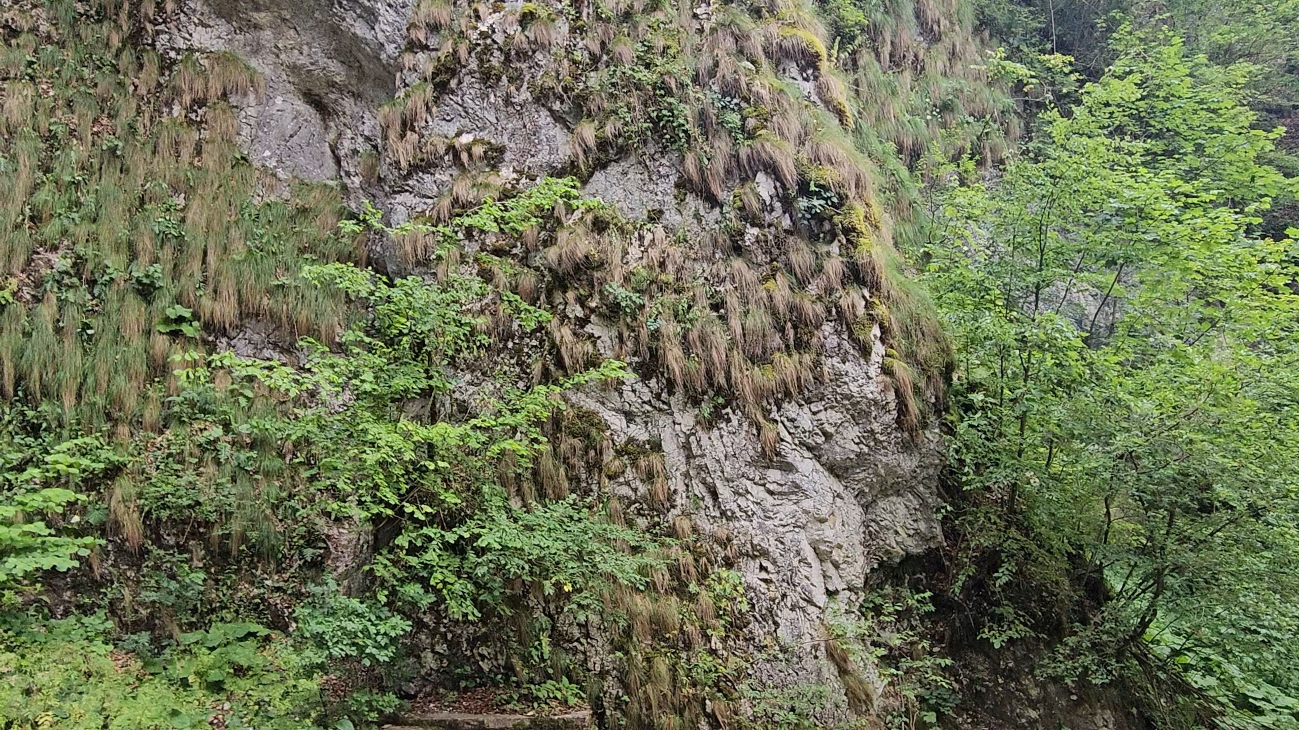 20250629_141536.jpg
