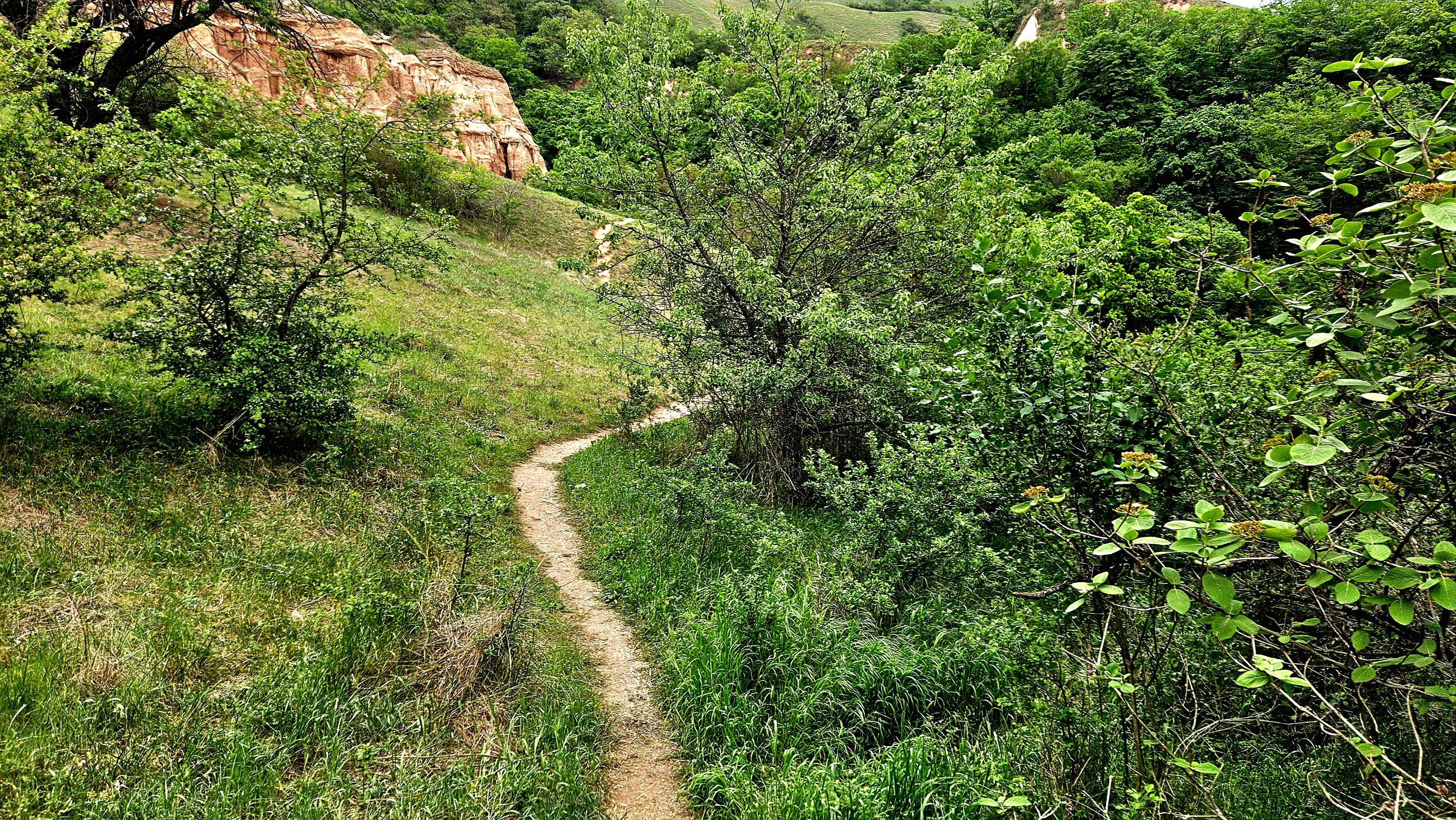 20250502_181804.jpg