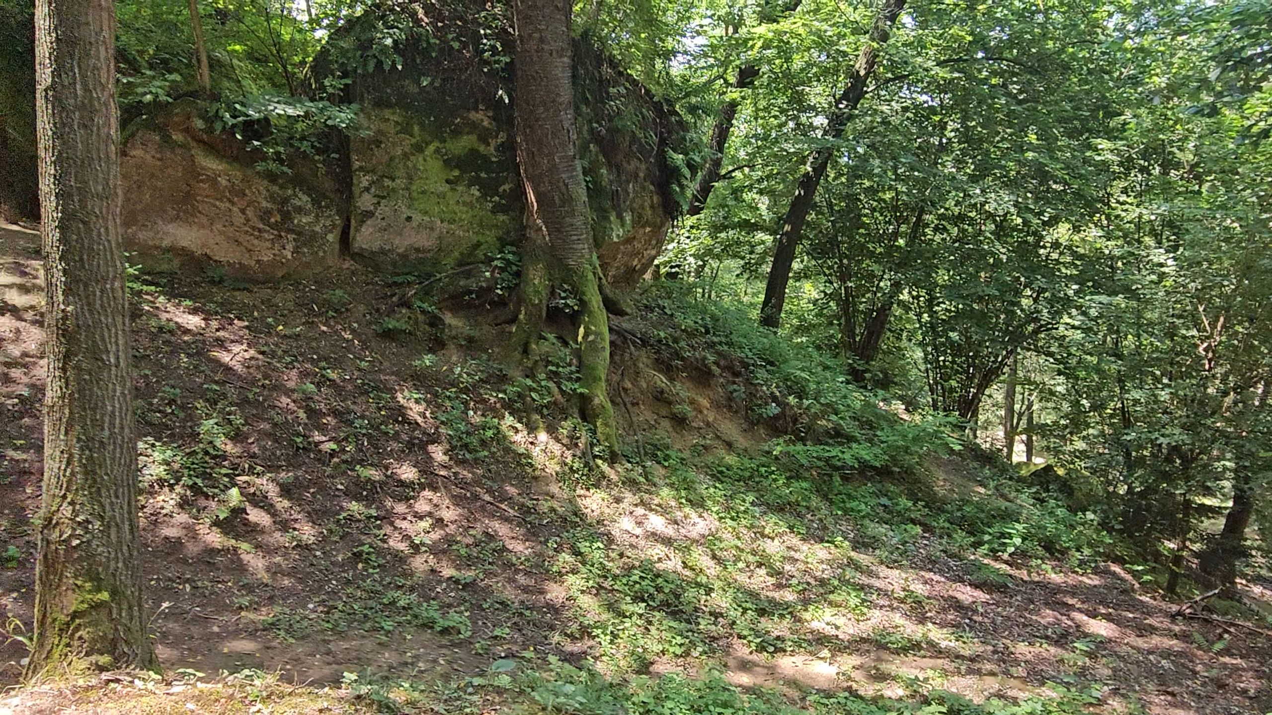 20250721_133622.jpg