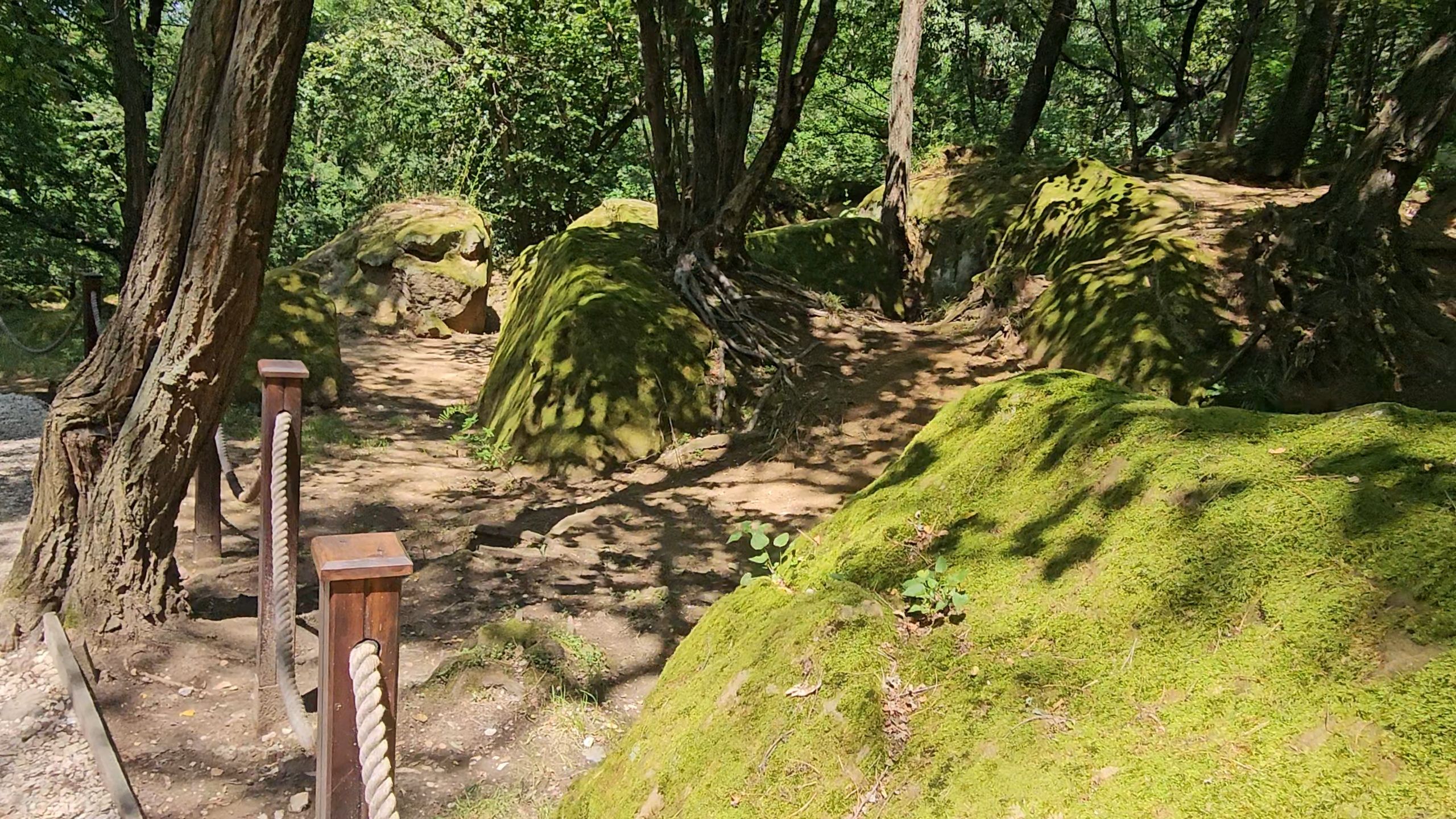 20250721_134633.jpg