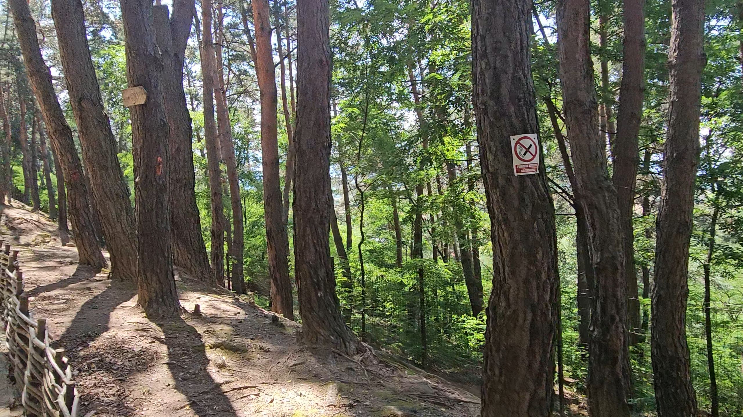 20250721_134036.jpg