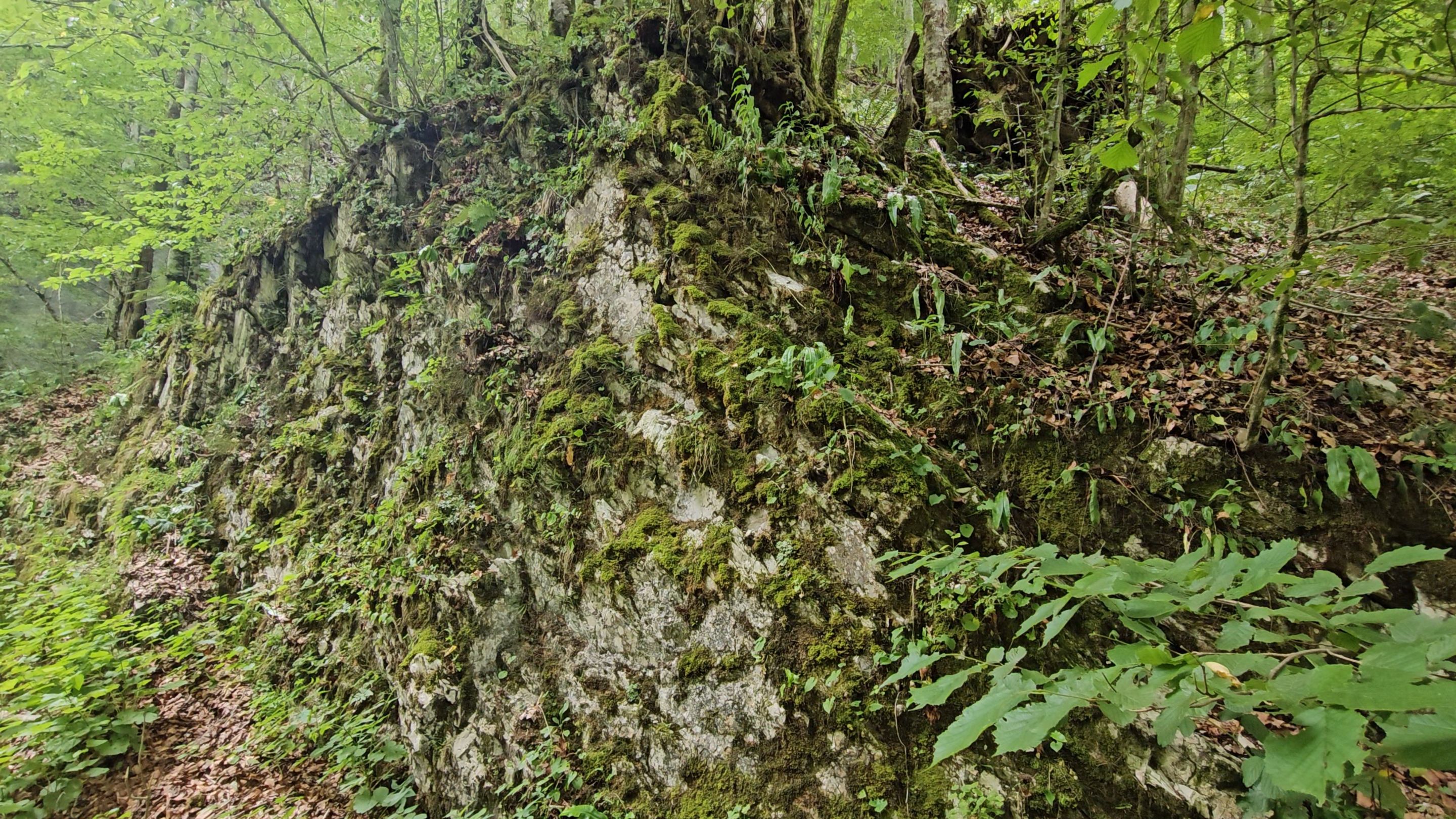 20250629_140358.jpg