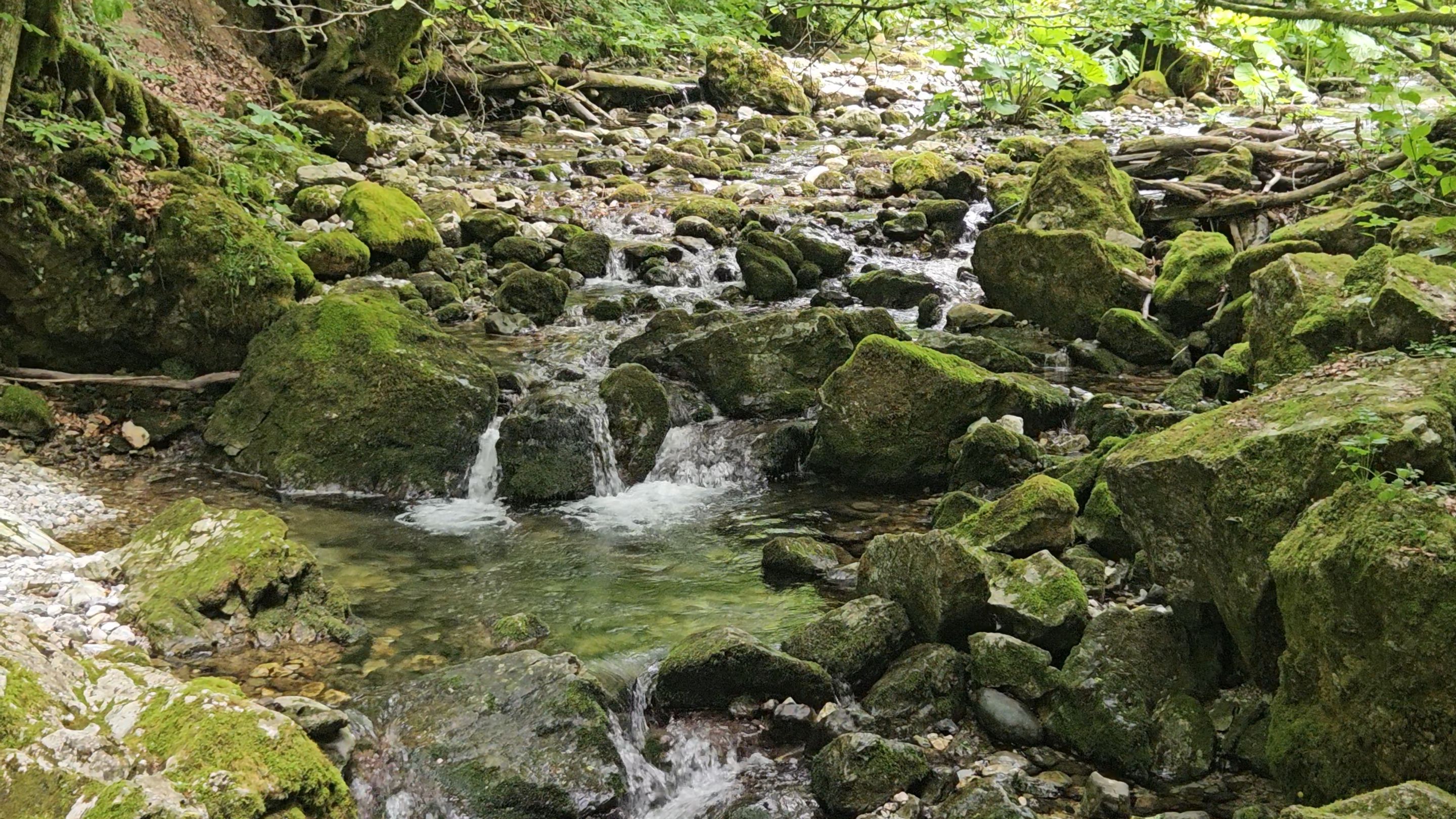 20250629_140131.jpg