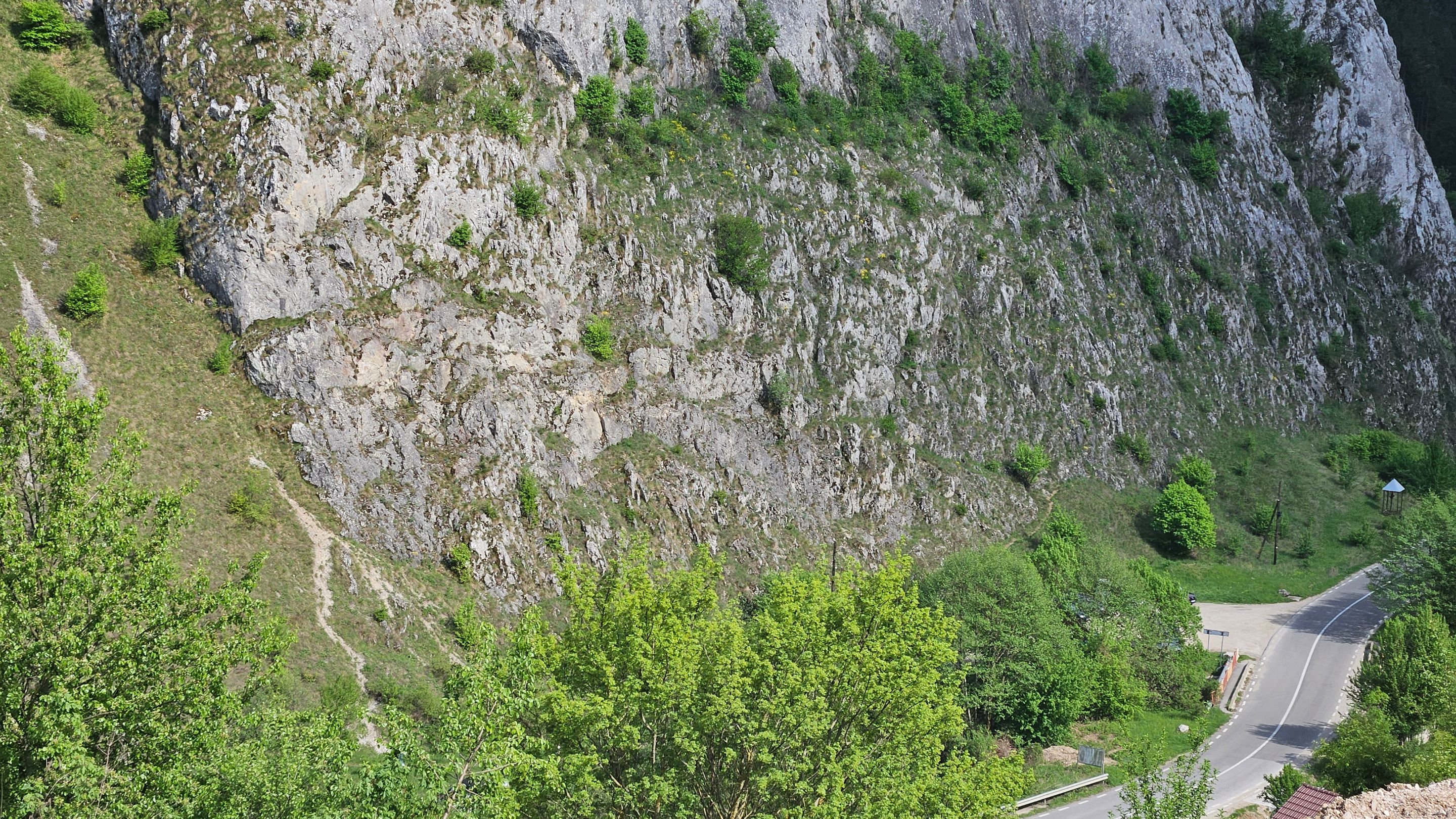 20250502_161601.jpg