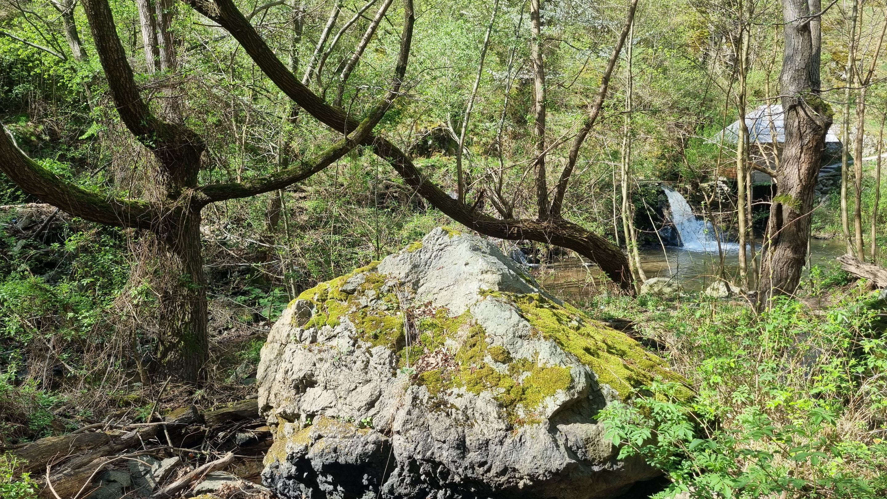 20240407_112215.jpg
