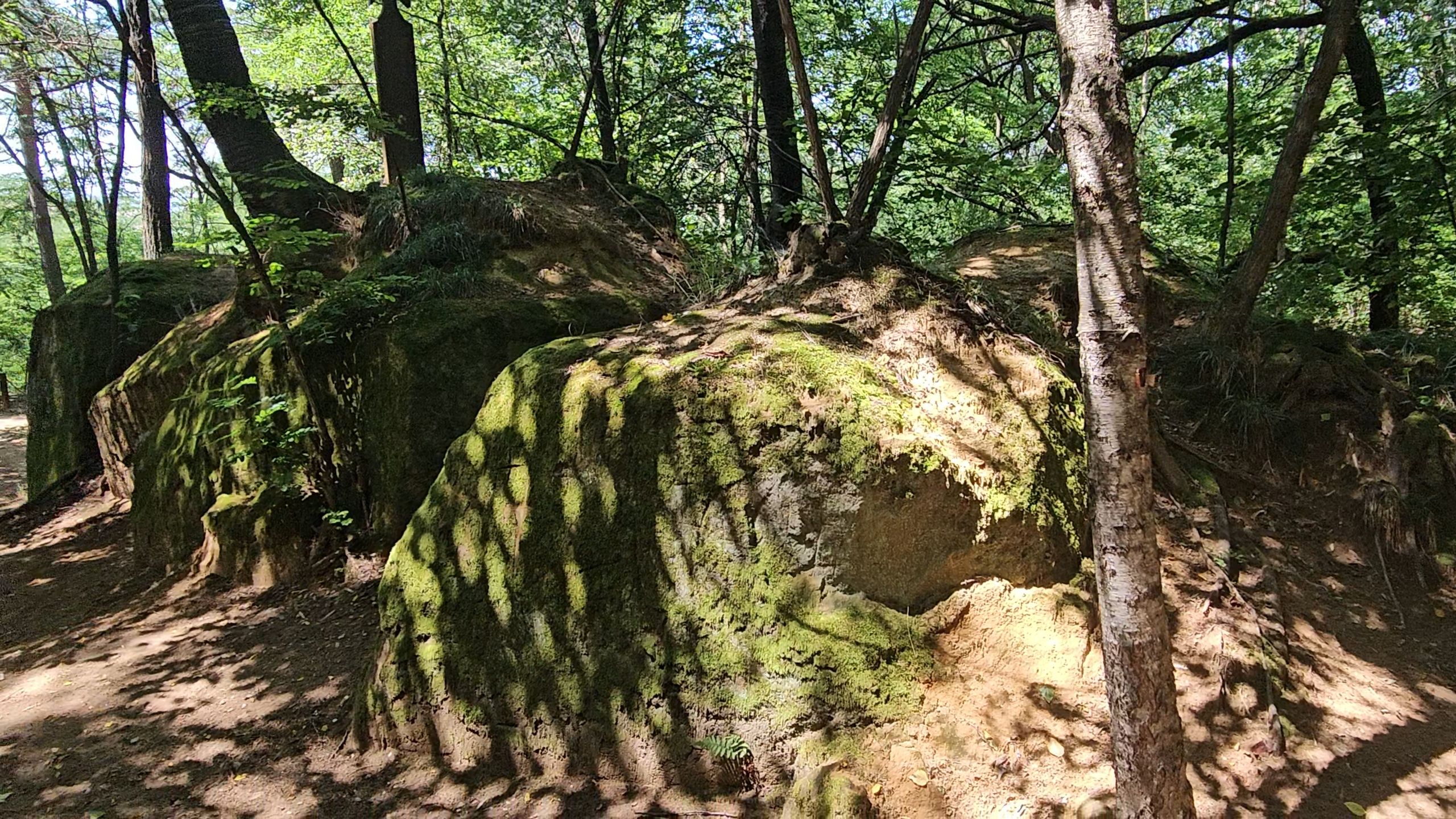 20250721_133736.jpg