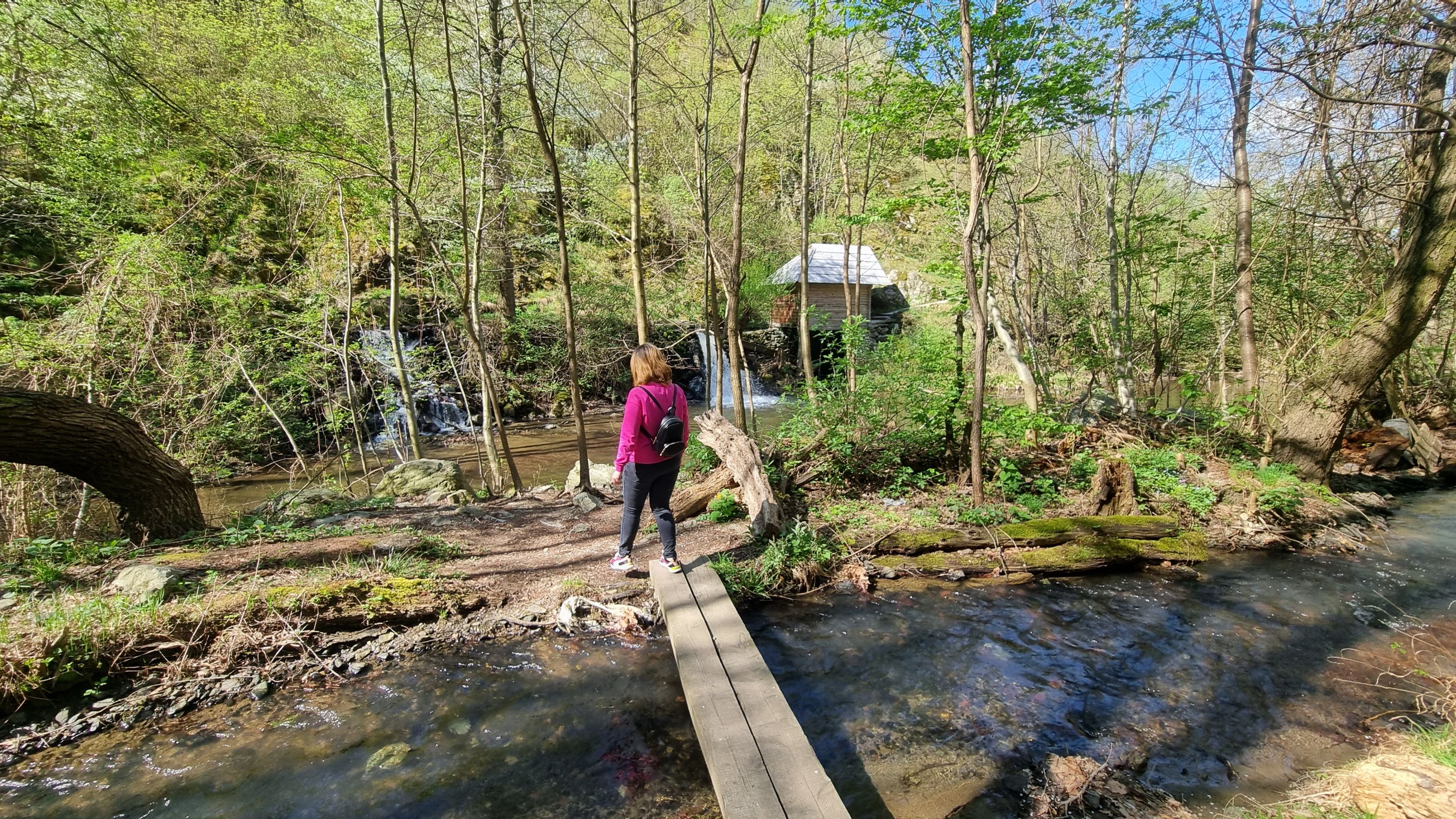 20240407_111916.jpg