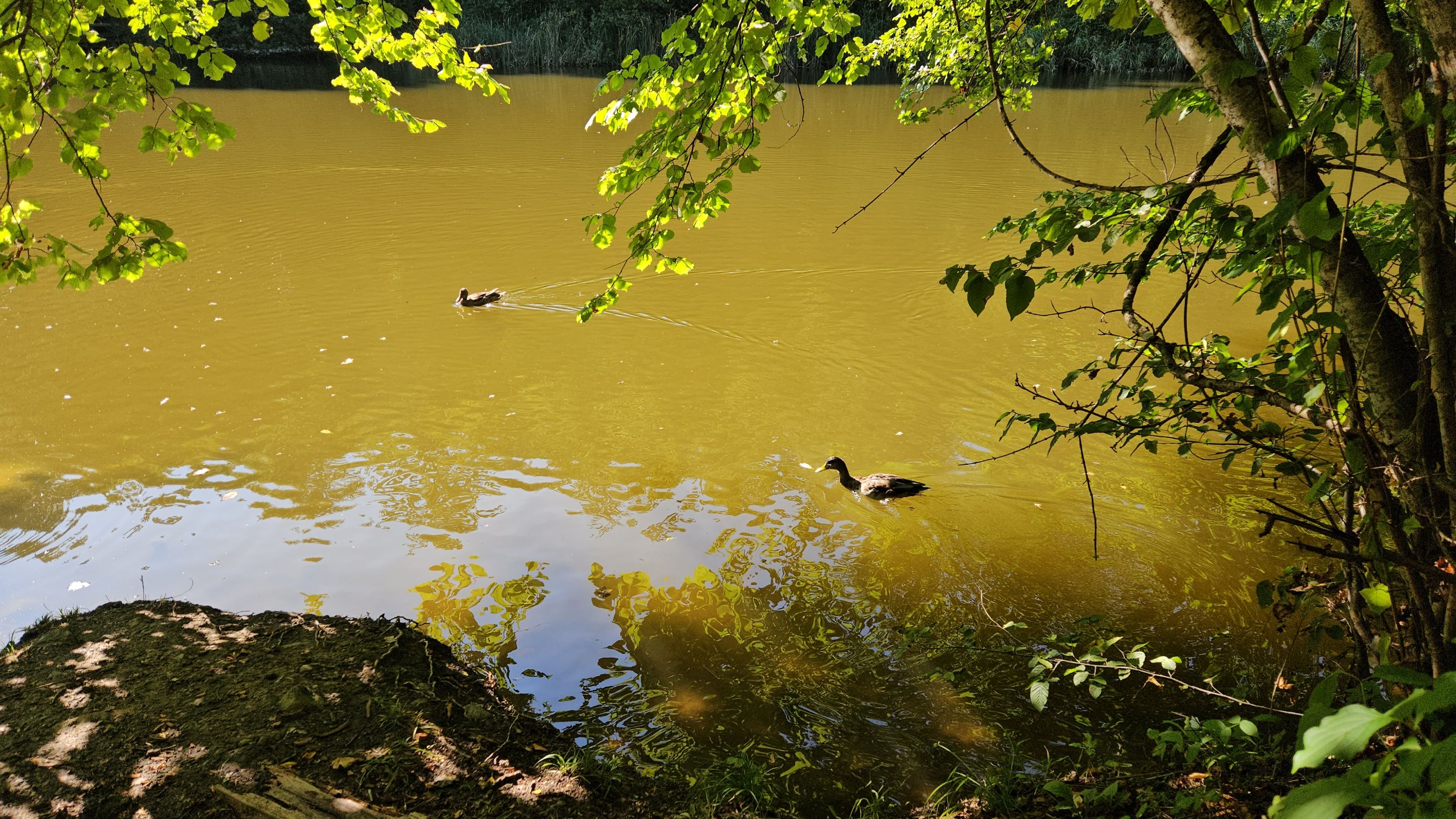 20250914_154436.jpg
