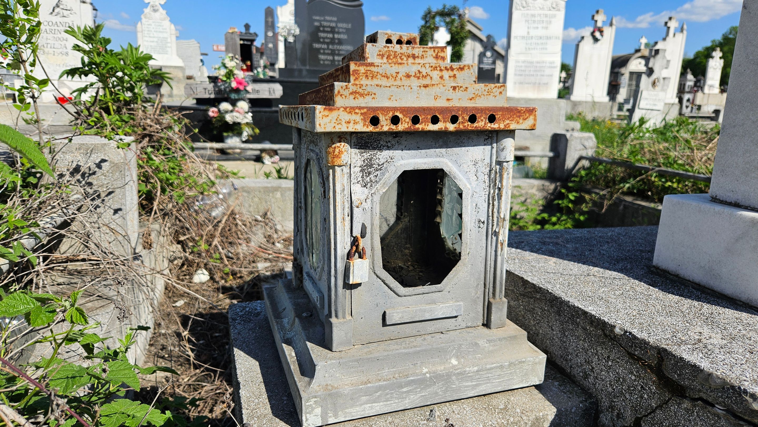 20250424_162313.jpg