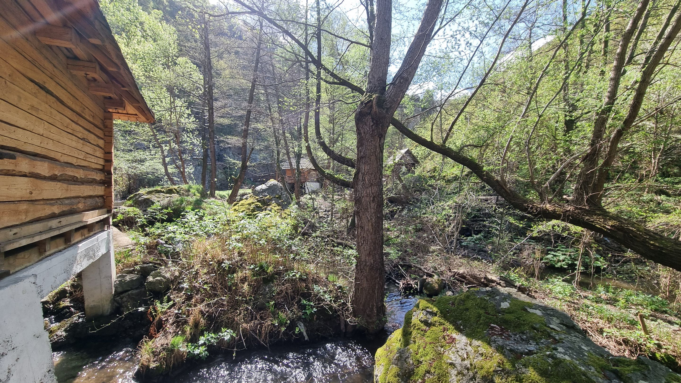 20240407_111910.jpg