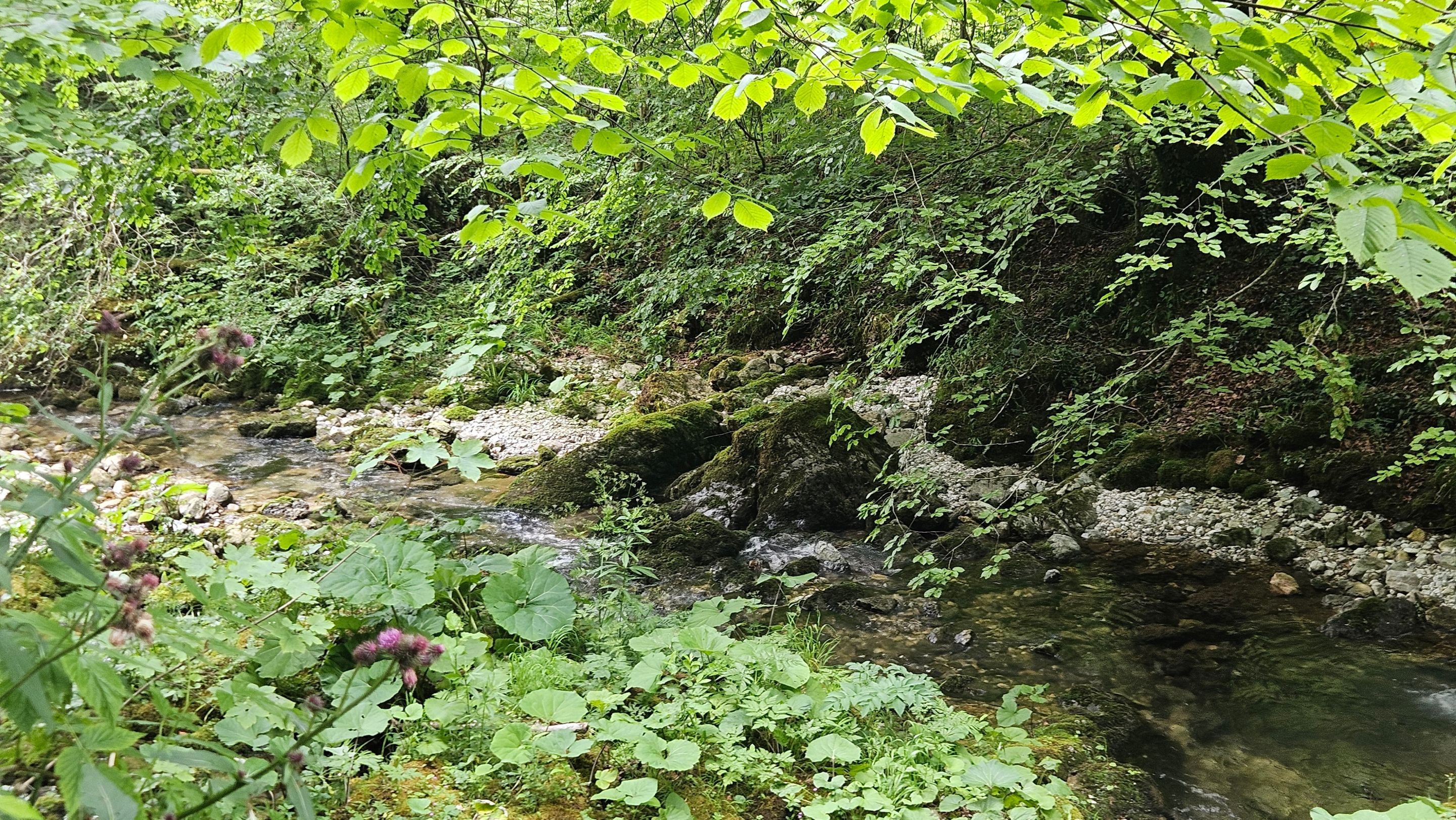 20250629_135116.jpg