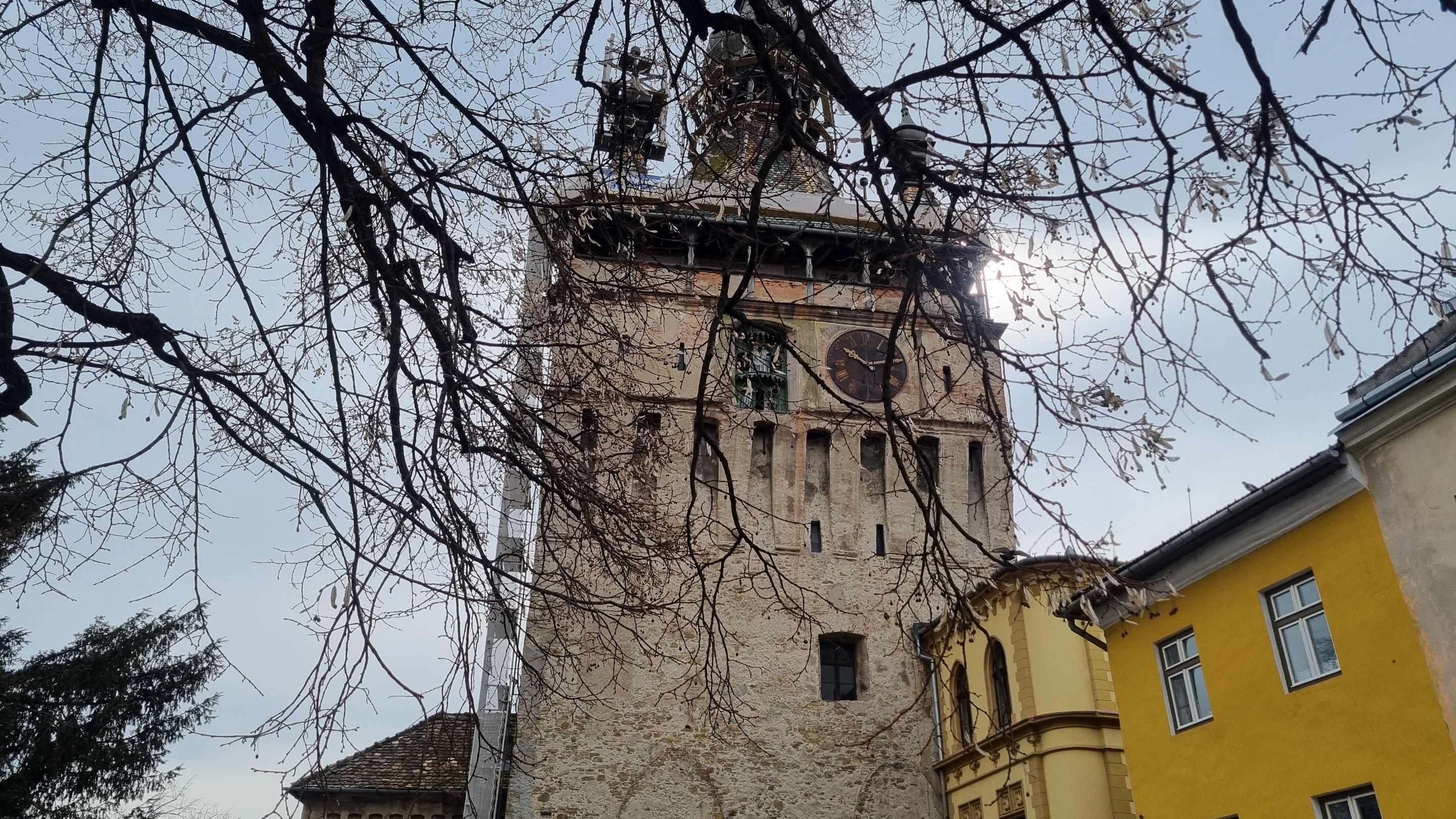 20240302_115446.jpg