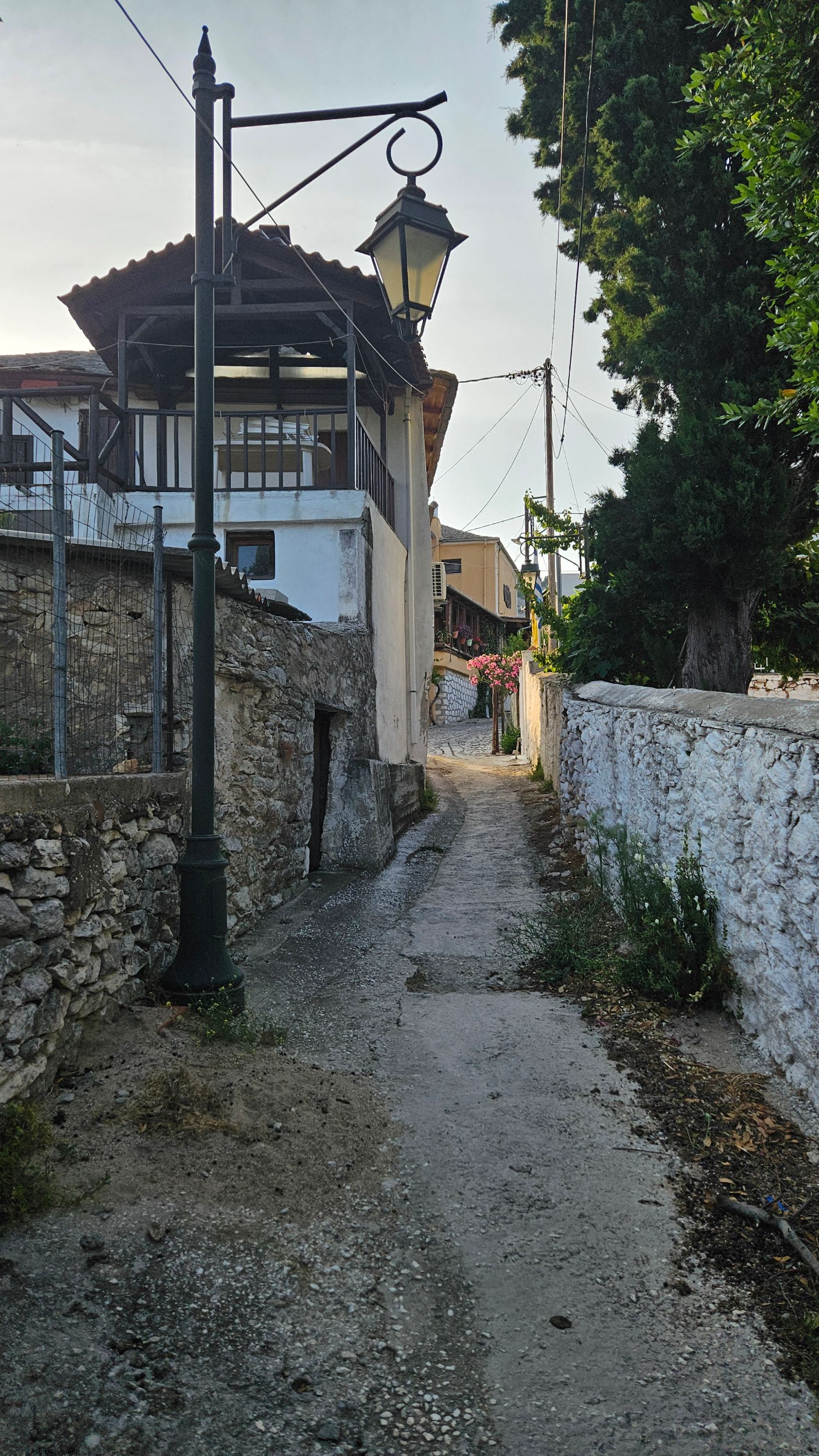 20250611_190615.jpg