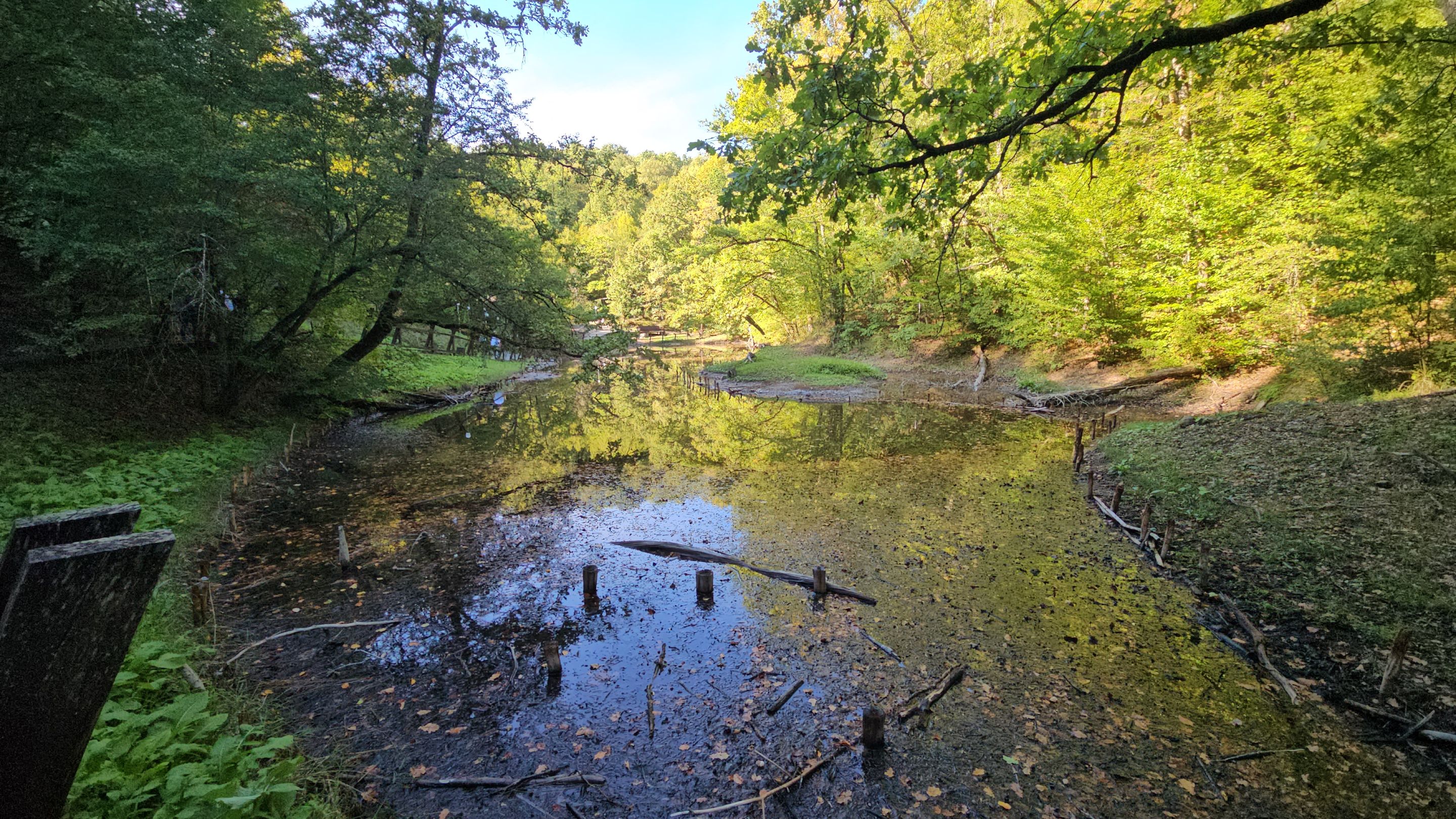 20250914_155517.jpg