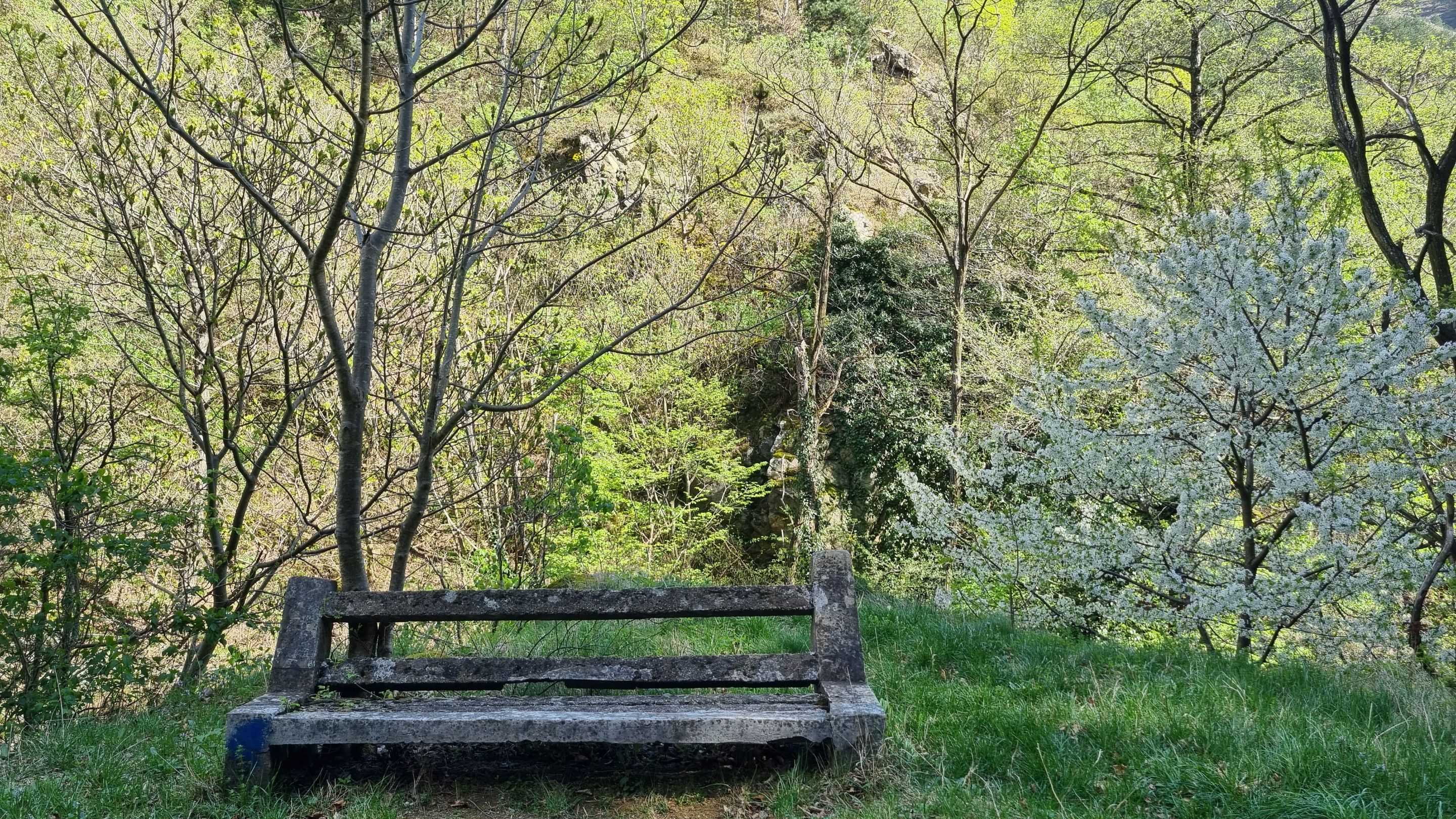 20240407_115326.jpg
