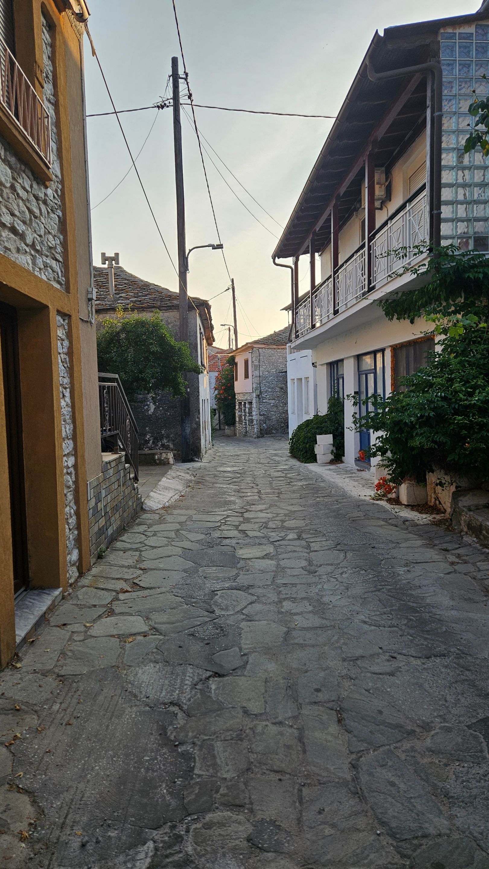 20250611_193358.jpg