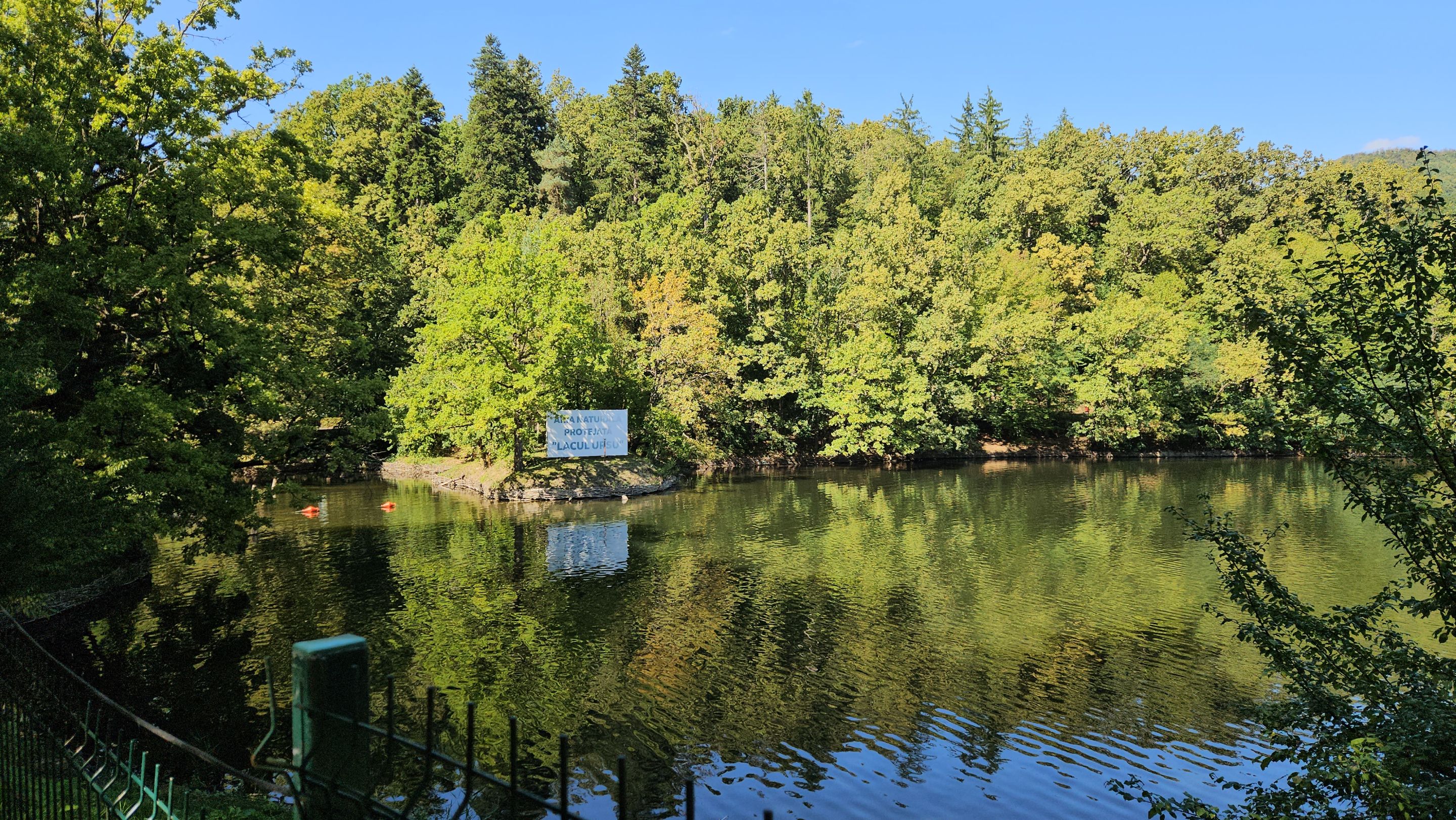 20250914_143736.jpg