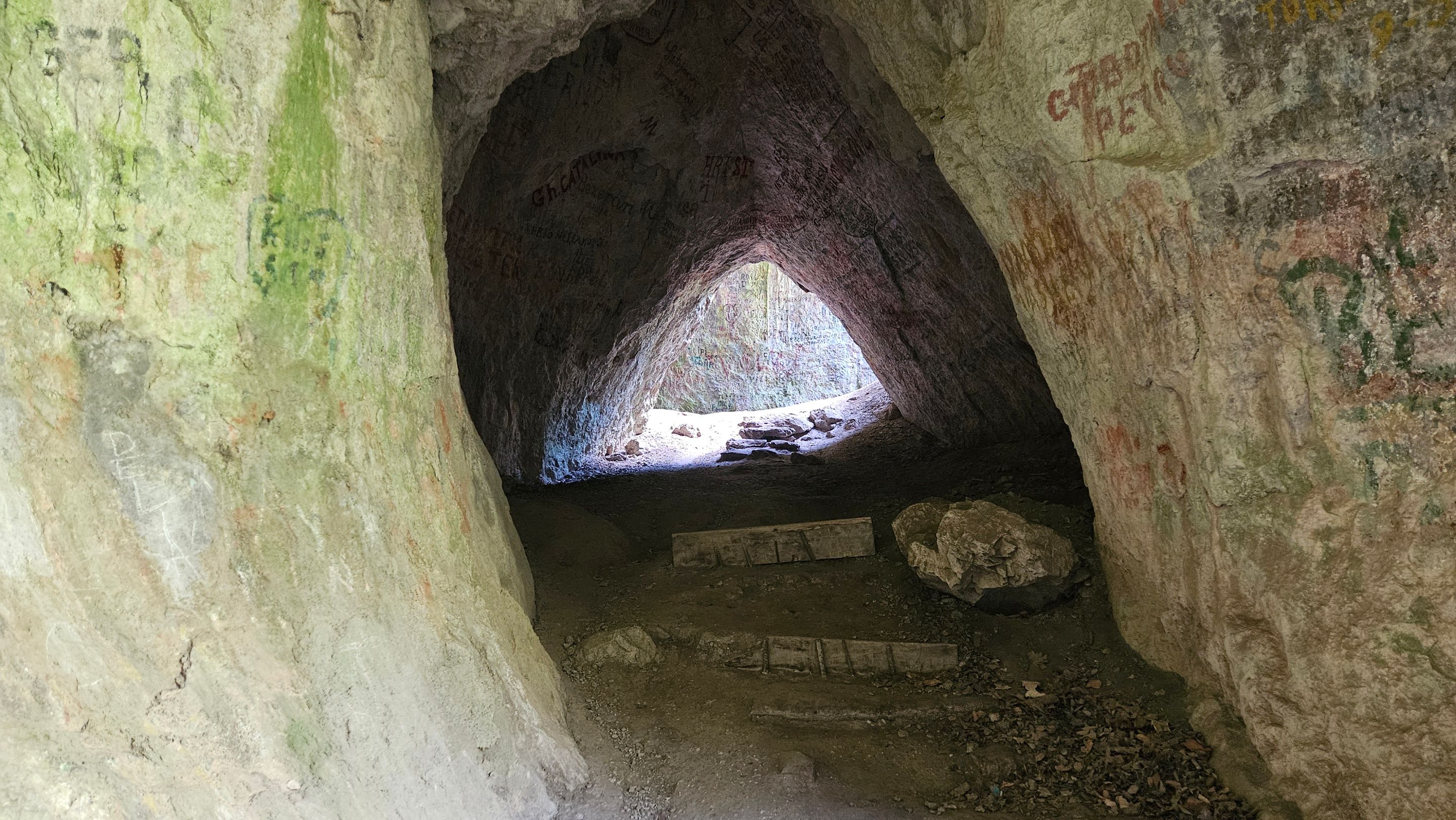 20250730_171446.jpg