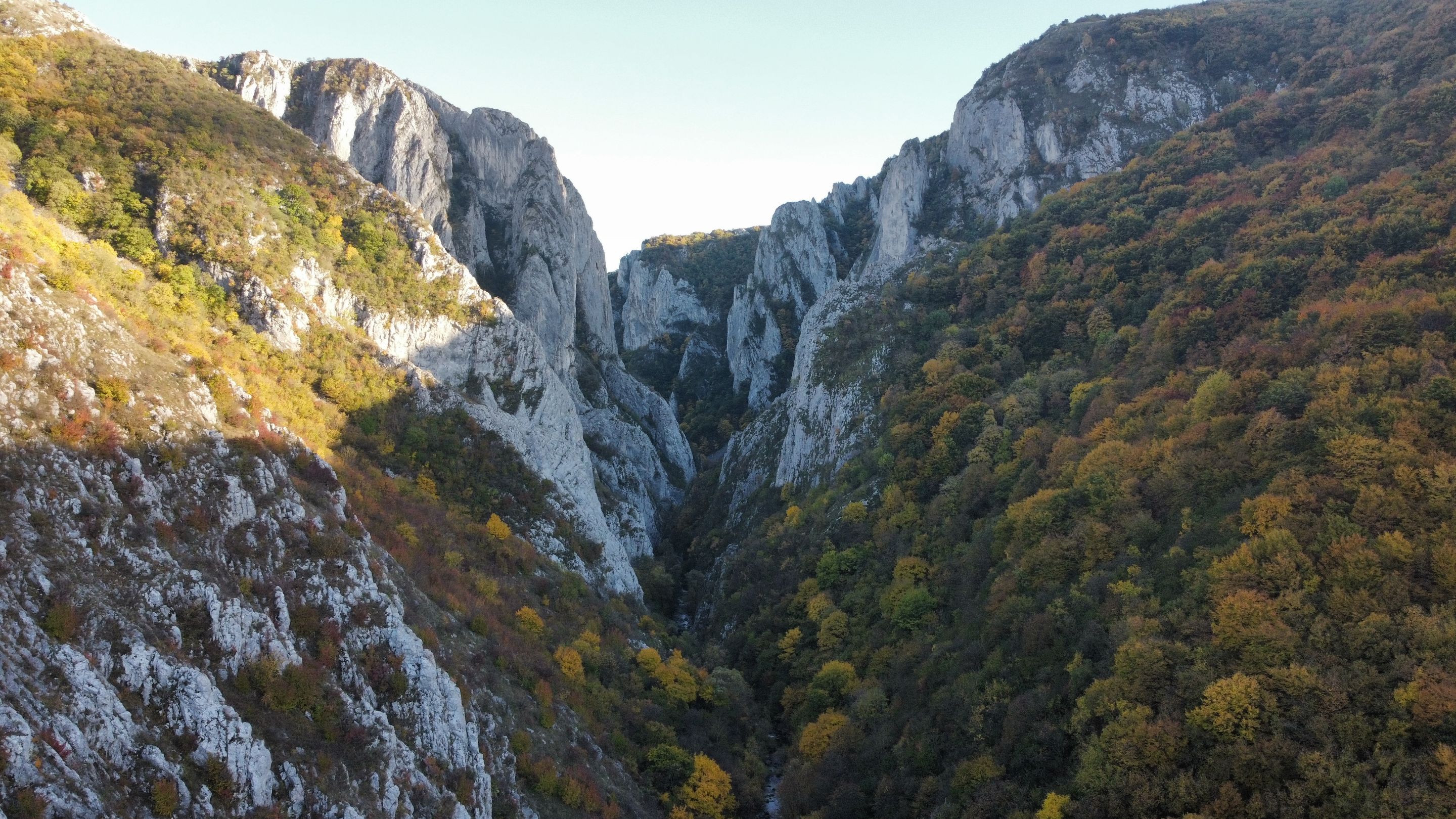 dji_fly_20231022_170454_447_1698085928888_photo_optimized.jpg