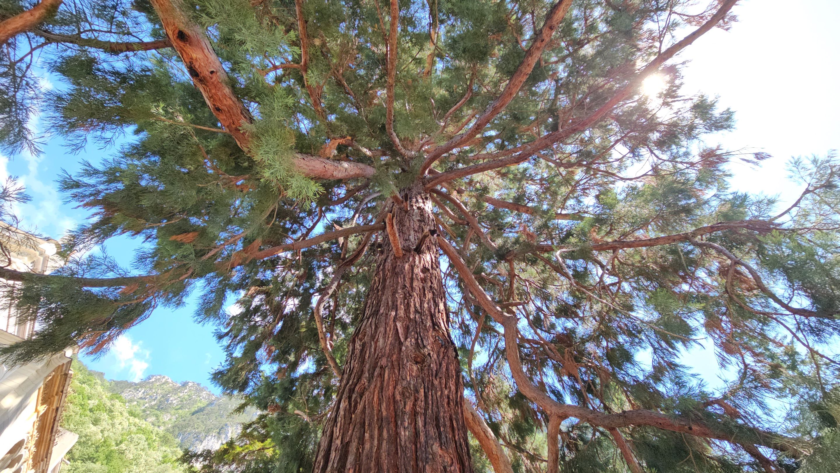 20250730_151805.jpg