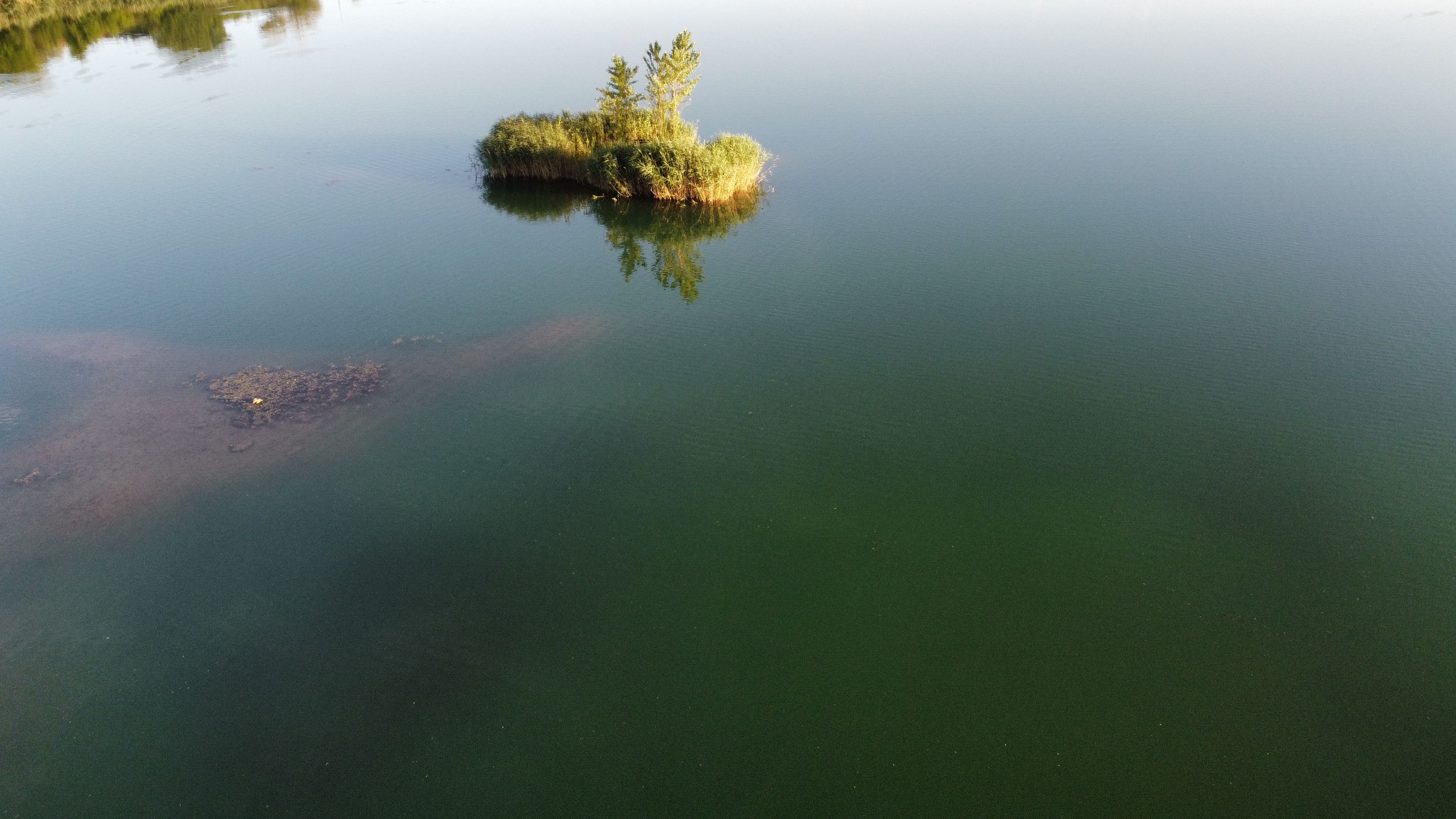 dji_fly_20240705_202650_777_1720203818929_photo_optimized.jpg