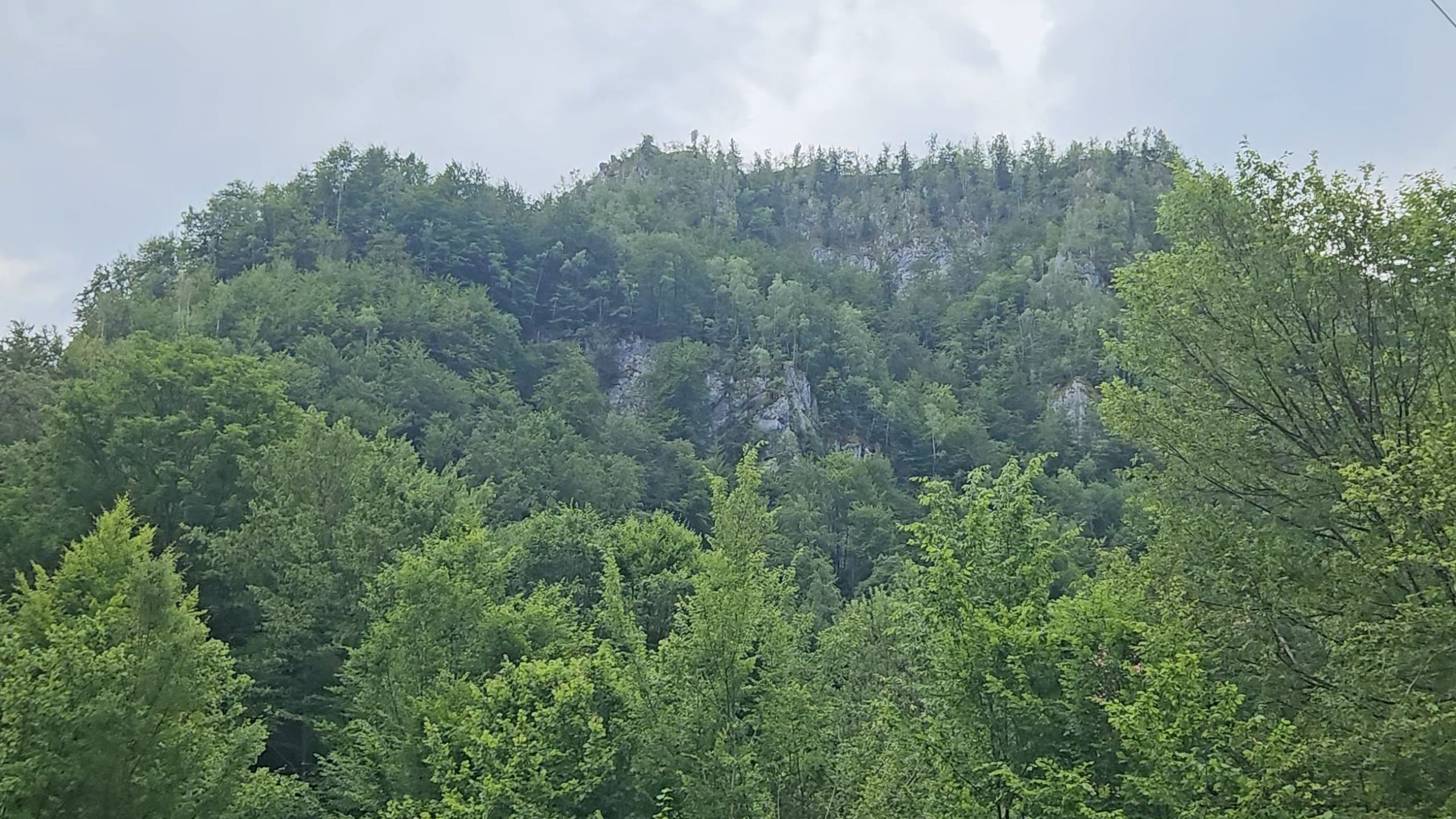 20250629_144441.jpg
