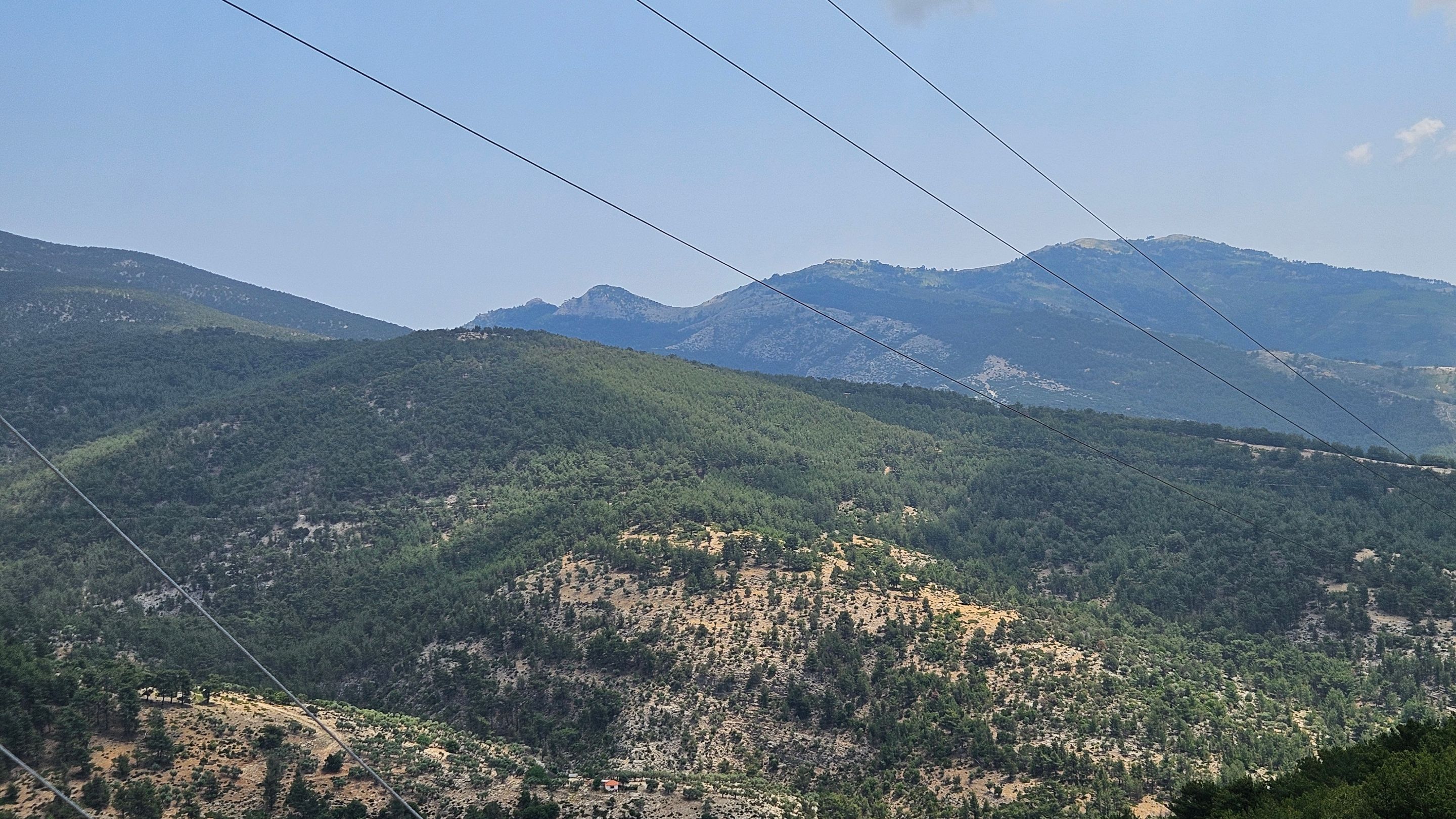 20250613_132611.jpg