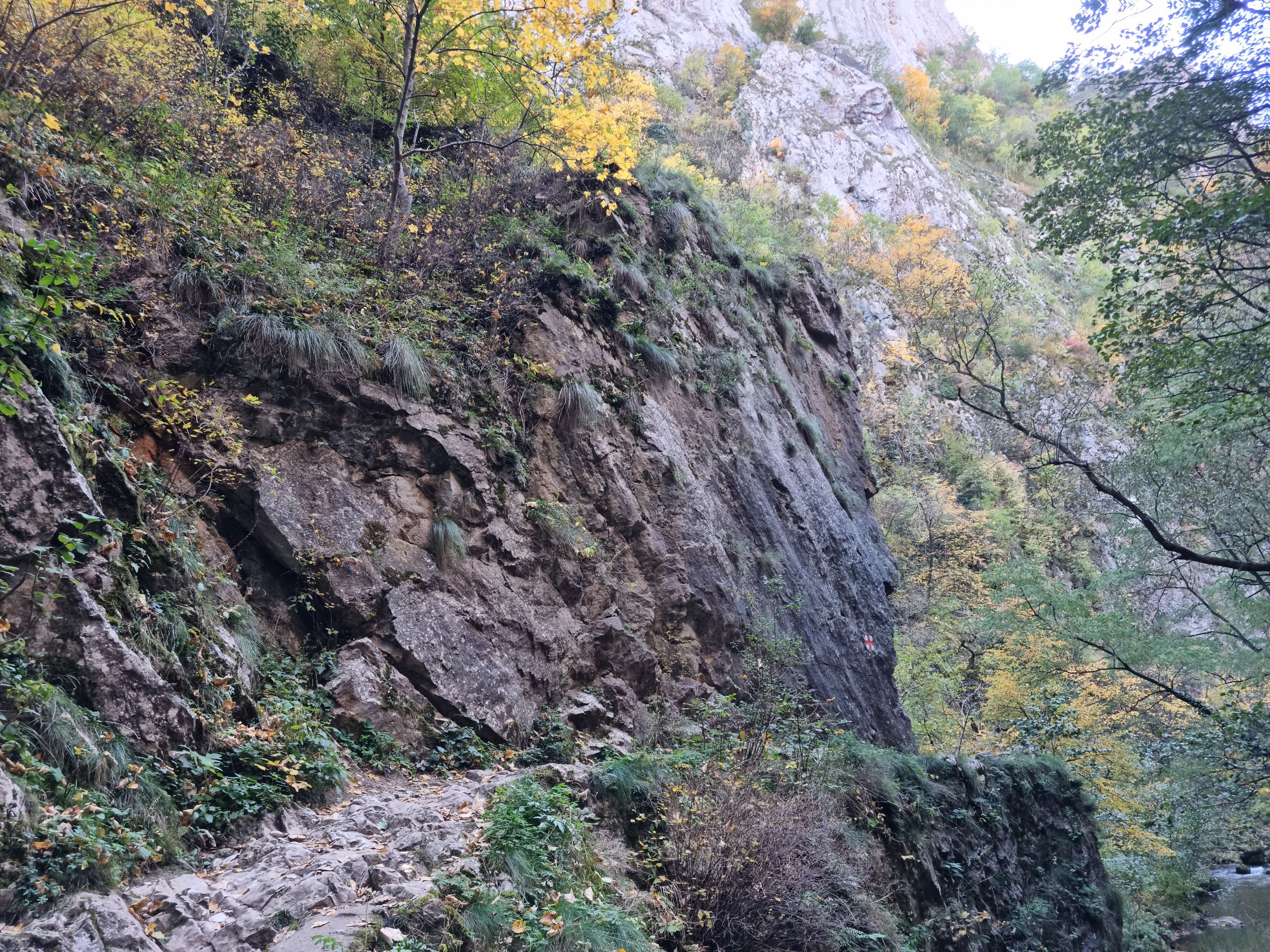 20231022_162853.jpg