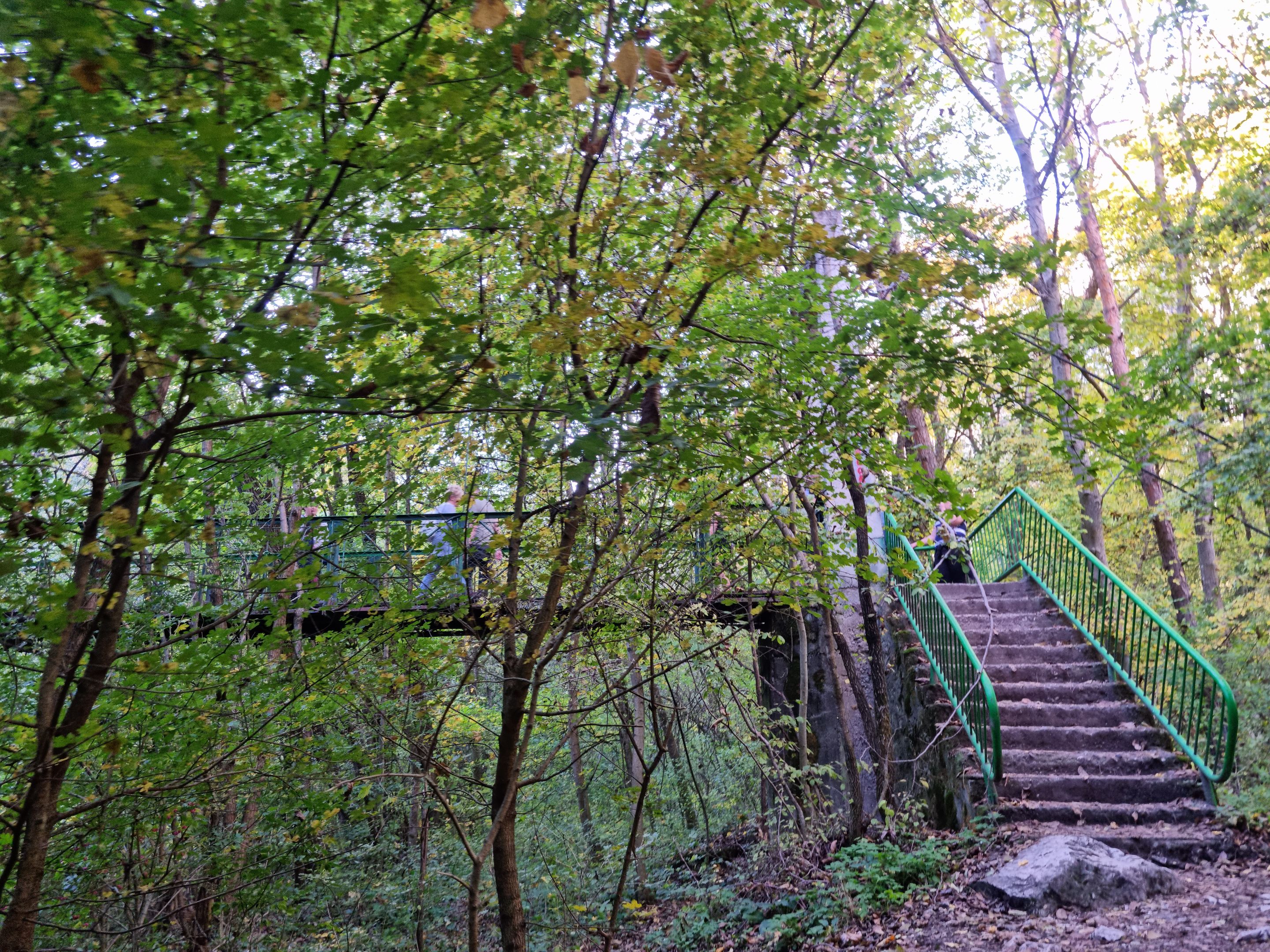 20231022_160237.jpg