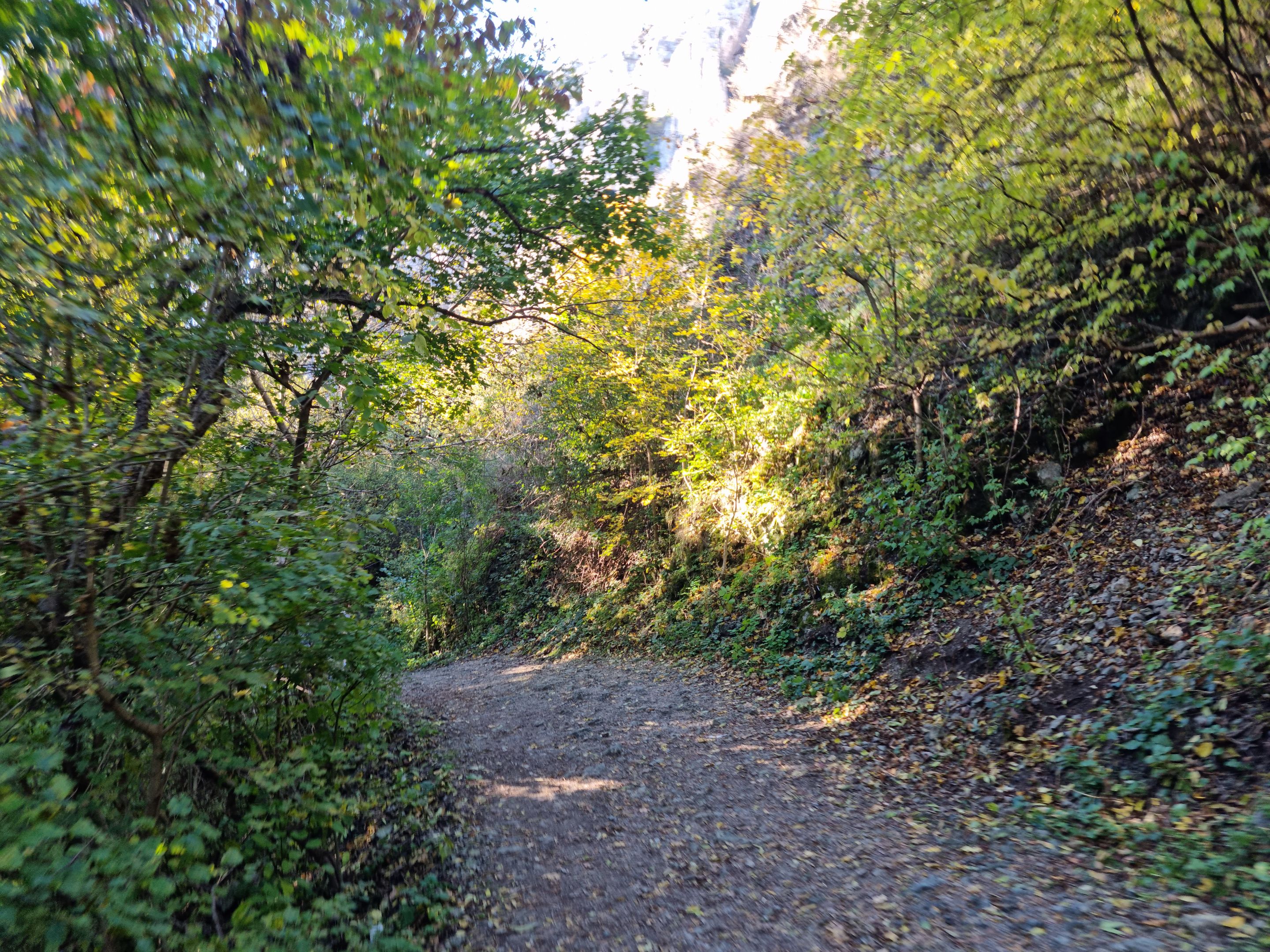 20231022_160103.jpg