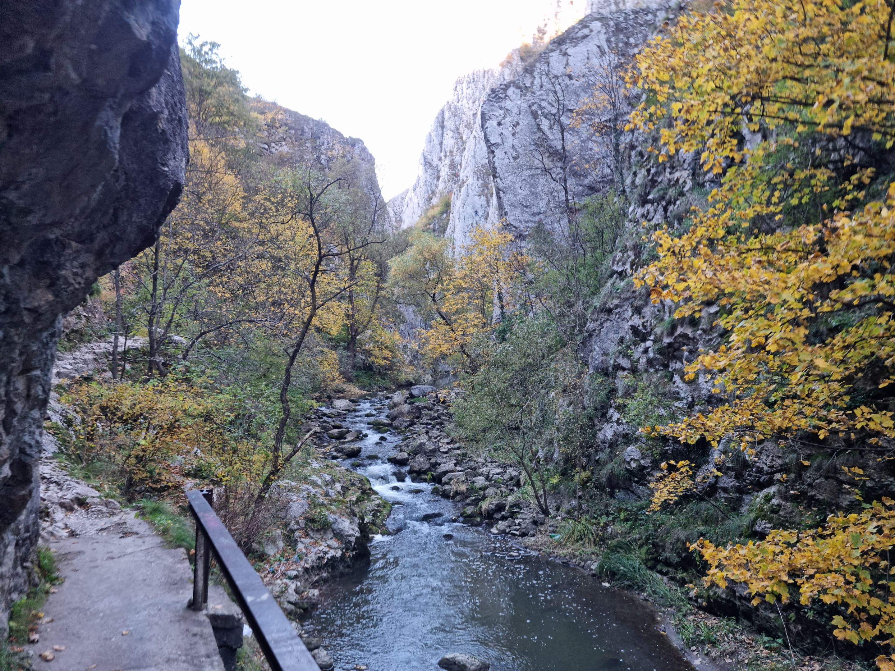 20231022_163535.jpg