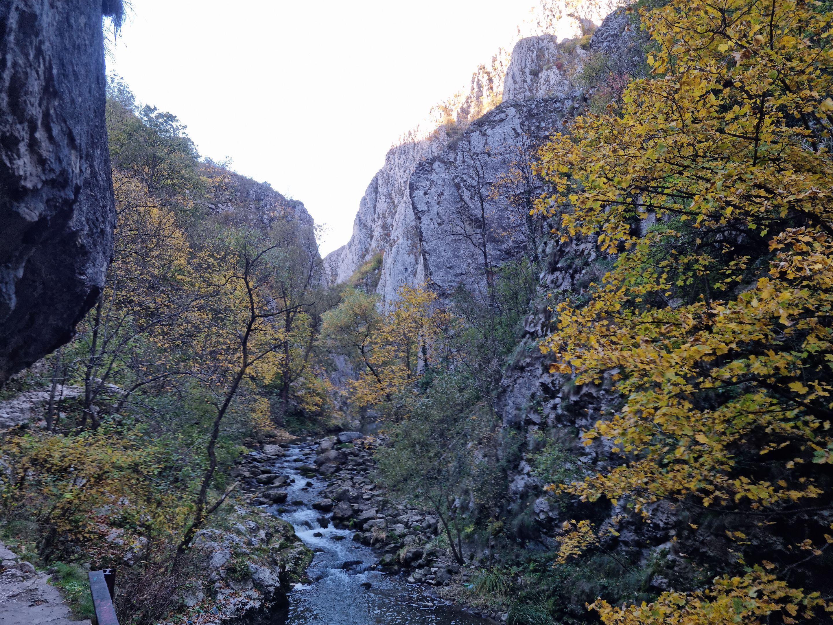 20231022_163537.jpg