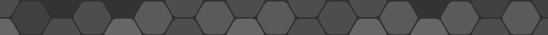 newbies initiative archivo16.jpg