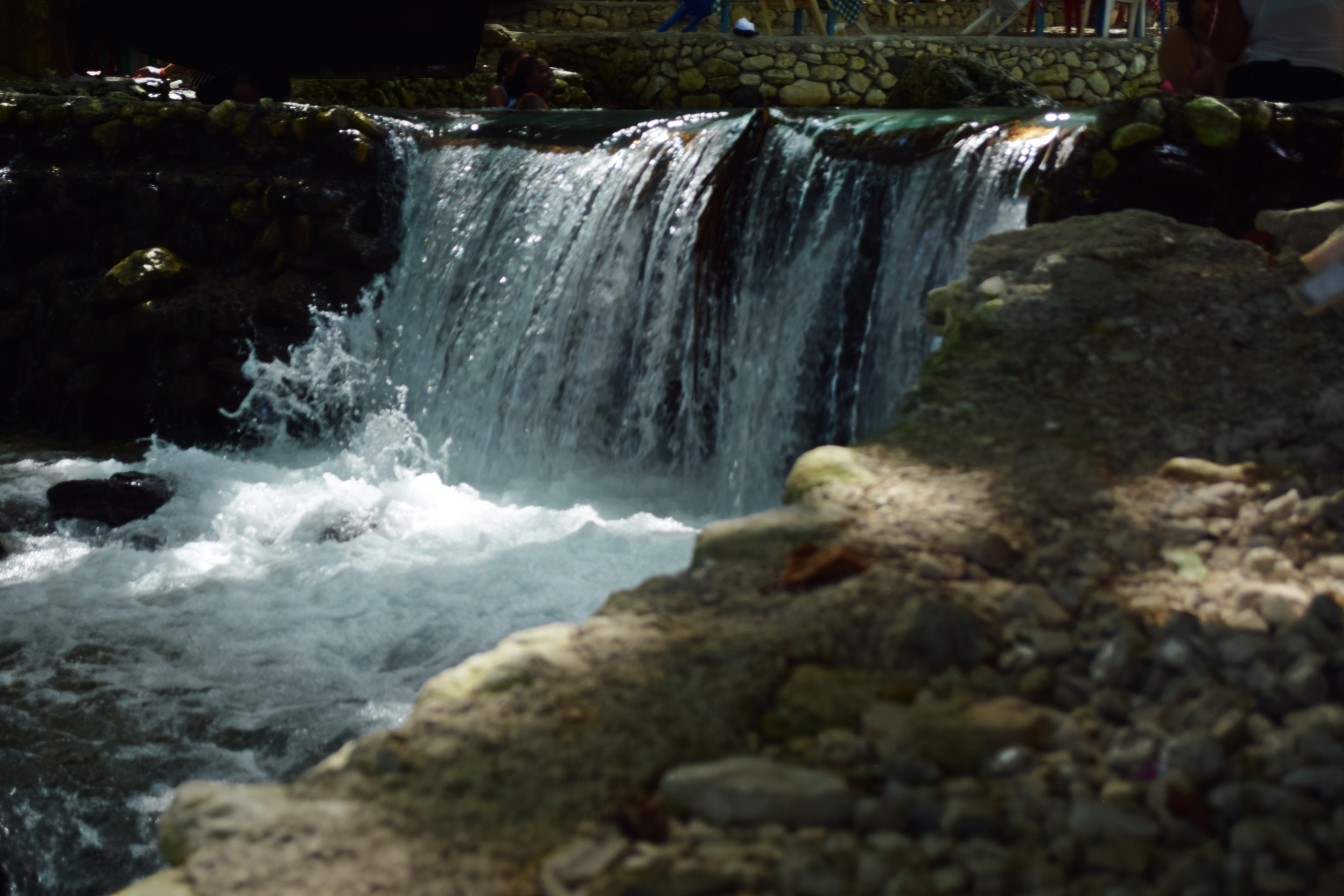 DSC_0890.jpg